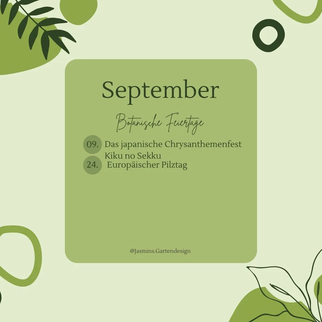 🌱 Botanische Feiertage im September 🍂
Bist du gerade mitten im Hausbau oder Umbau? Für die Gartenplanung hattest du bisher keine Zeit oder Geduld?
Bald ist der Herbst da, die Pflanzen und Tiere bereiten sich auf den Winter vor, die Regentage werden häufiger...
Die perfekte Zeit, um die Gartenplanung für den kommenden Frühling in Angriff zu nehmen.
Wenn du dabei Hilfe benötigst, freue ich mich über deine Nachricht 📩
.
.
.
.
.
.
.
.
.
.
.
.
.
.
.
.
.
#Landschaftsarchitektur #Landschaftsgestaltung #landschaftsarchitektin #landscapedesign #Gartengestaltung #gardendesign #garteninspo #gartenjournal #gartenbau #gartenblog #gartenberatung #grünerwohnen #grünimgarten #wissentogo #wissenswert