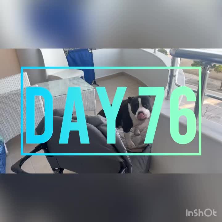 Day 76
🌤️ 61°/44°
We had breky at a place called Coffee Shop & Breakfast, just across the street from our apartment gate. We’ve only ever been there one other time, one of the first mornings we were in our new apartment. We attempted two other new places before deciding to go there, we’ve got a couple places that we’d really like to check out for breky but there’s smokers posted up all day long inside, & we just aren’t willing to deal. We both opted for the (Albanian version) English, & it was lovely! The basket of bread was probably the highlight: fresh, soft, yeasty, with a crusty crust…I’ve threatened to bring my own butter to restaurants since we are in olive oil country, today would’ve been the perfect opportunity. You just can’t get this girl swayed from good ol buttered bread 🤷♀️ The young guy, & (we are guessing) mom that run the place are incredibly kind & attentive. I do enjoy making hot breky at home, but it’s sure nice (& cheaper) to have it made for us instead! I grabbed a bus & headed downtown for a quick pick up at Petville for the bigger bags of Reesey food I pre-ordered. Sounds like I can do that anytime I want, the truck comes every Tuesday from Tiranë! I napped when I got back, & then later for dinner we went to Valis for a yummy Asian fusion meal. I had to stop at Big Scoop on the way back for a Lotus cup: vanilla icecream, whip, lotus cookie crumble & biscoff butter. 🤤
We got word that an immensely bright light of a human had passed back home. He had been a wonderful friend to Phillip both when he first moved to town, & throughout working together over the past 7 years. I loved his witty & light hearted nature, he honestly reminded me a lot of my Dad. He fought a terrible health war the last couple years, quietly, & humbly. Our hearts are with his family. The sunset glowed just a bit more magically tonight, I suppose knowing all that wonderful light he brought to everyone he came in contact with, is still out here in the universe, with the rest of us now ♥️
Cheers to a good friend ♥️
🪿💜🪿
#sillygoosesonly #vlorë #albania