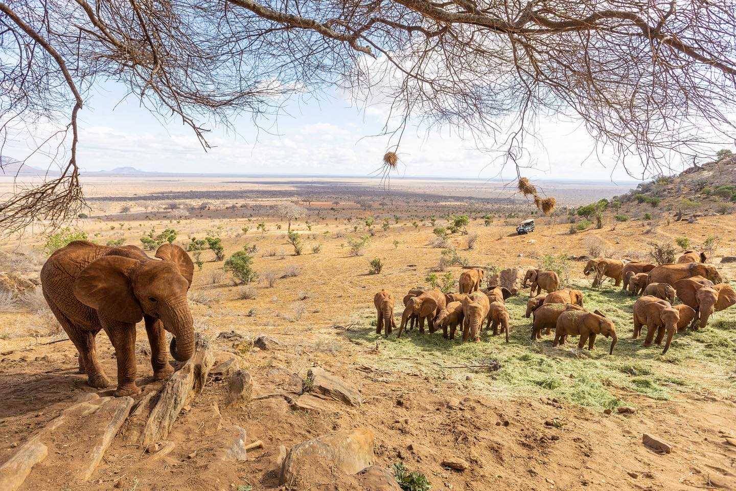 Spending time with these magnificent creatures is time well spent.
#documentary #elephants #wildanimals #Kenya #filmmaking