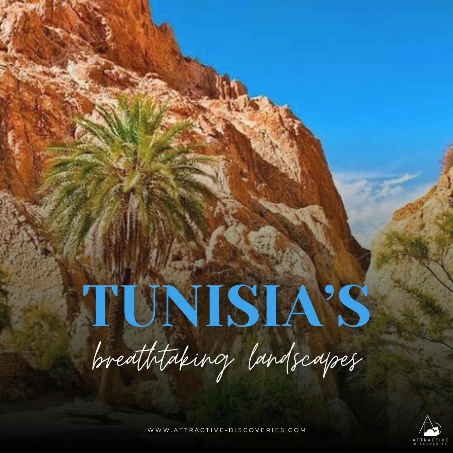 As the sun sets over Tunisia’s diverse landscapes, you’ll be left in awe of the country’s natural beauty. From mountains to the sea, Tunisia has it all.
.
Have you ever dreamt of a place like this? Tell us in the comments!
.
#WorldHeritage #ExploreTunisia #TravelTunisia #CulturalHeritage #HistoryLovers #TunisianCulture #HistoricalSites #TunisiaTravel #DiscoverTunisia #Wanderlust #HeritageTourism #TravelInspiration #AncientHistory #Carthage
