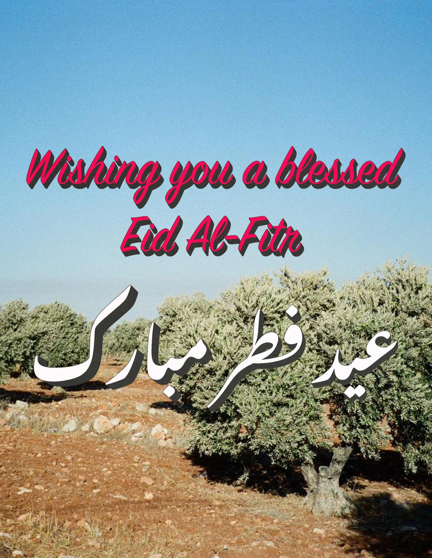 Eid Mubarak and many blessings to all our friends celebrating Eid al-Fitr. And a big, warm thank you to our fellow activists, partners, and everyone who donated to this year’s Ramadan campaign. Together, more than 1,100 food boxes have been sent to Palestinian communities living under the boot of state-backed settler terrorism and ongoing displacement.
These are testing times, and we must continue to stay active and united against the machinery of dispossession. Solidarity, in this moment, is not a gesture, it our a responsibility.
As families mark the end of Ramadan under conditions of fear, restriction, and profound uncertainty, our commitment must not end with this campaign. It must deepen. Keep showing up, keep documenting and amplifying Palestinian voices, keep resisting and keep building the kind of solidarity we need for true collective liberation.
We’re grateful to the Jerusalem activists who’ve been running the regular drives, to @ymcajerusalem for hosting them and to @rabbis.for.human.rights for operating and coordinating the distributions!
These drives will continue as long as we have the resources - the campaign page is still live and in our bio!
Holiday greeting design by the wonderful @majedshahout and photo taken by @twinkyyyy in Duma: an area where the entire Palestinian community of Shakara was recently violently expelled.