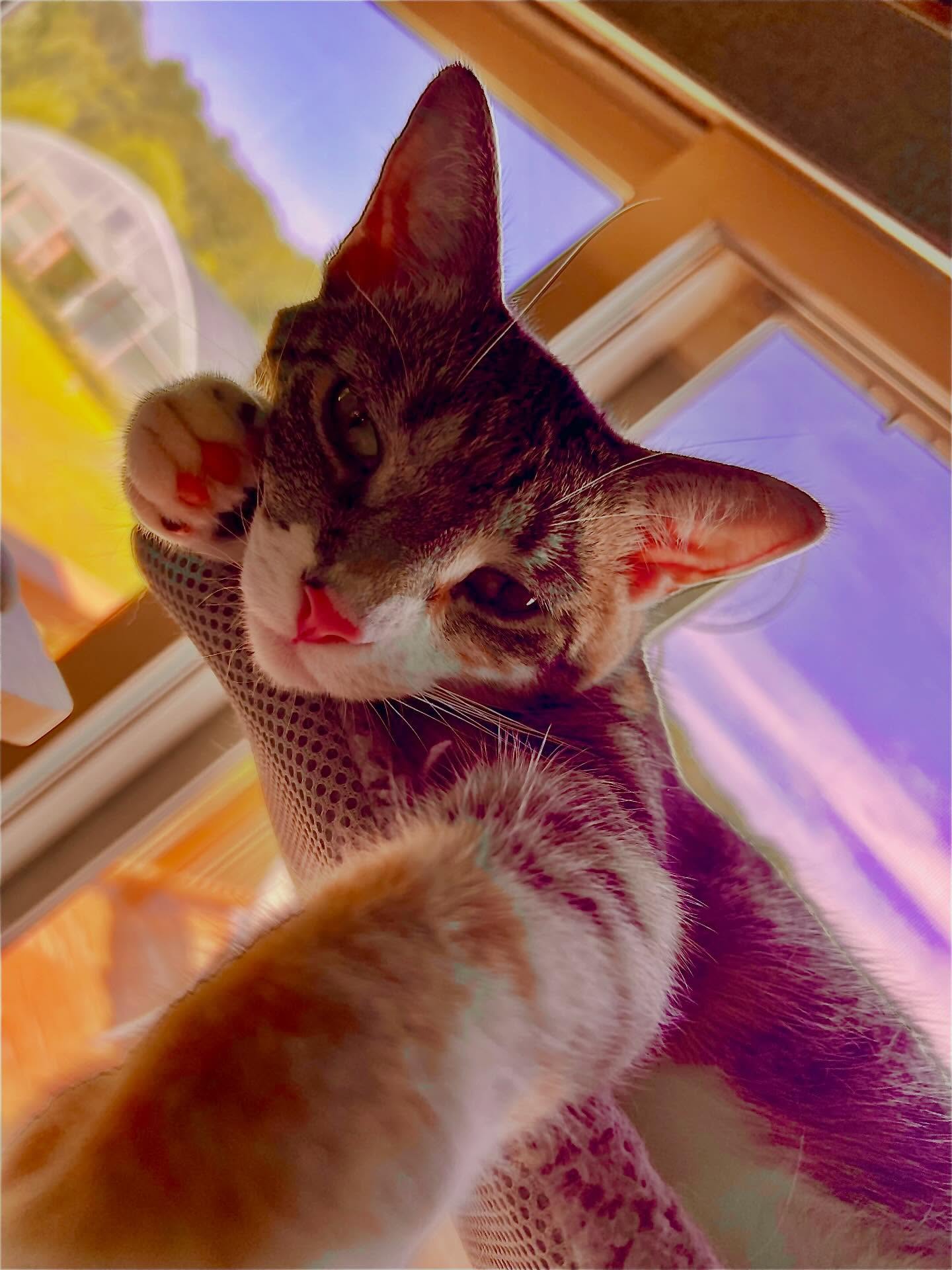 Happy Spring. It’s time to open windows, start seeds and finish garden plans! https://www.windyriverfarm.org