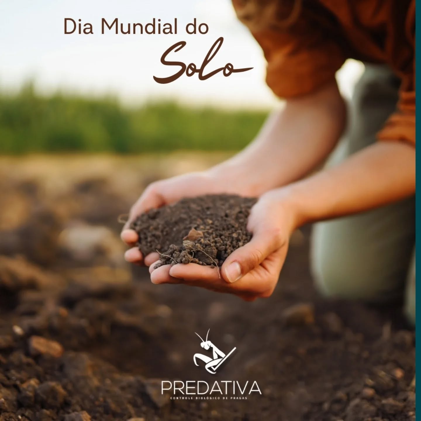 Neste Dia Mundial do Solo é bom lembrar que o Brasil lidera o uso e o desenvolvimento de insumos biológicos, uma tendência que coloca o país na vanguarda da revolução verde no campo.
#solo #diamundialdosolo #bioinsumos #macrobiologicos #predativa
