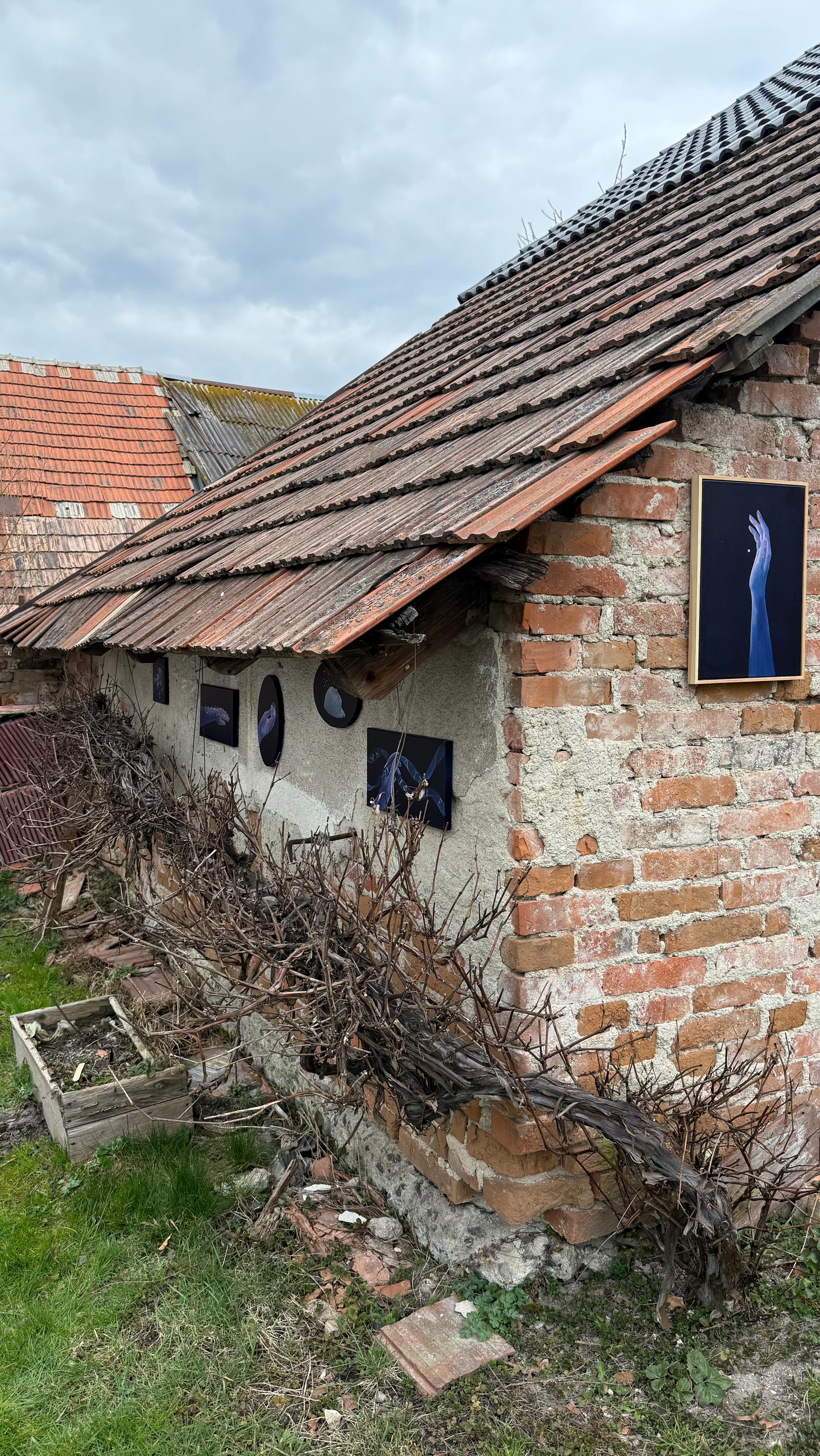 pre-spring exhibition at the wine house
#artinnature #contemparyart #handinart #bluepainting