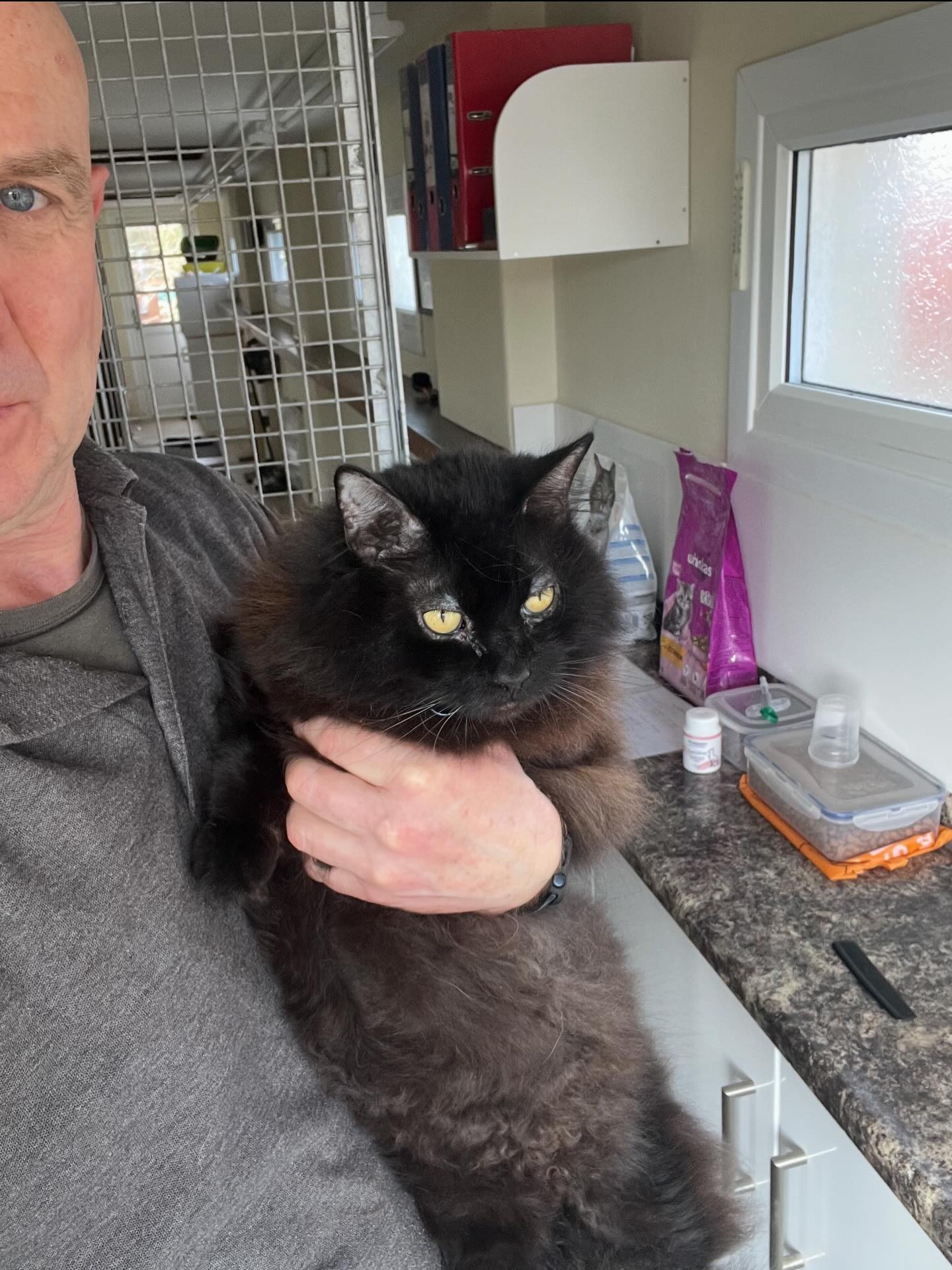 Cyril has had a lovely groom while boarding with us and enjoyed every minute of it π₯°