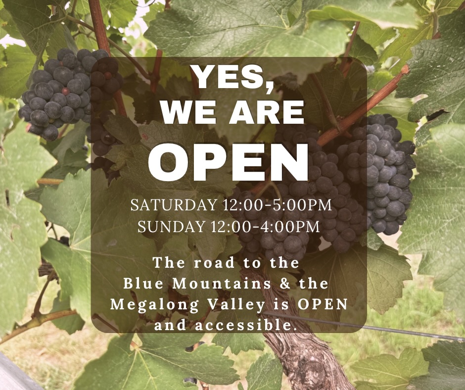 Great news—Megalong Valley and Megalong Creek Estate are open, and our cellar door is welcoming visitors as usual! The road closure and detour at Mount Victoria won’t affect your journey to the valley. We do recommend allowing a little extra time for weekend traffic, and we look forward to seeing you soon. #bluemountainsnsw #bluemountainswine #bluemountainstourism #megalongvalley #visitbluemountains