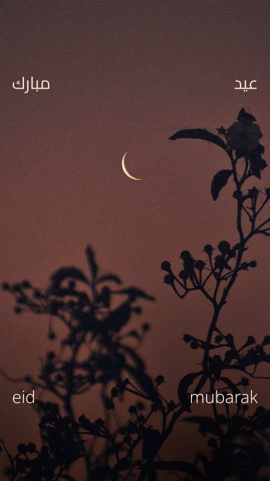 grateful, truly, for the people, the warmth, the togetherness.
and the quiet comfort of being home ❤️
eid mubarak from all of us to you.
#nujainc #eidmubarak
