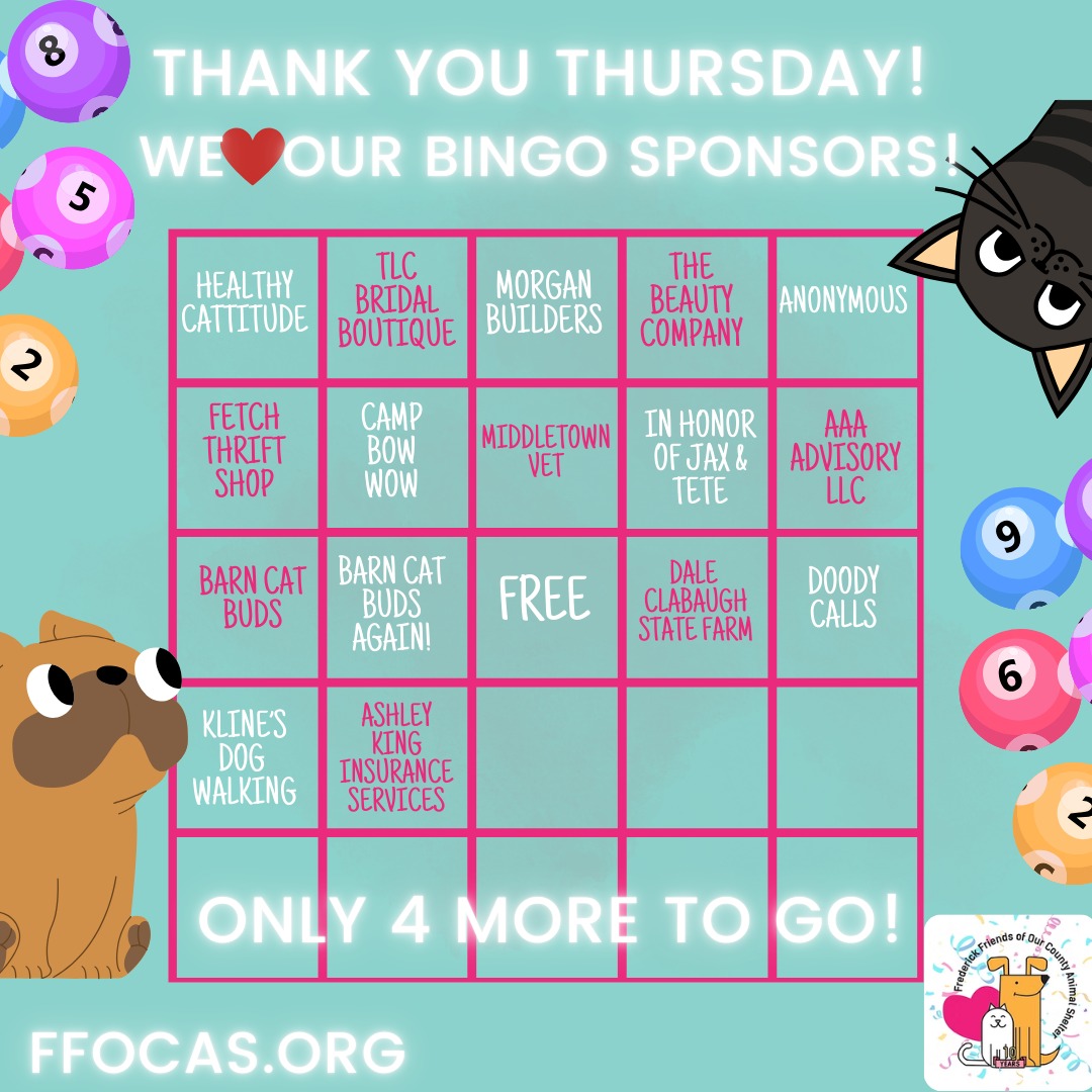 It's Bingo time for our local homeless pets at @fredcoanimalshelter!
On April 19th, we are giving away $200 per Bingo game again this year, and so we need sponsors for each game in exchange for advertising on social media and at Bingo to help us give away this awesome prize 20 times without having to dip into our money for homeless pets! We are so grateful to already have these 15 sponsors! We just need FOUR more to make it happen!
Would you like to sponsor or know a sponsor?
E-mail our Volunteer Events Coordinator at dmfoland@aol.com
Can't sponsor but want to come play? Get your tickets early here!
https://FFOCASBINGO2026.eventbrite.com
Thank YOU!
#bingo #helpus #charitybingo #getyourtickets #bingotickets #homelesspets #frederickmdbingo #bingolovers #bingofans #petlovers #raffles #sponsorus #sponsorsneeded
@tlcbridal @fetchthriftshop @thebeautycompanysalonspa @barncatbuds @doodycallsfrederick
@klinesdogwalking @morganbuildersllc @ashleykinginsurancesvcs @daleclabaugh.sf
