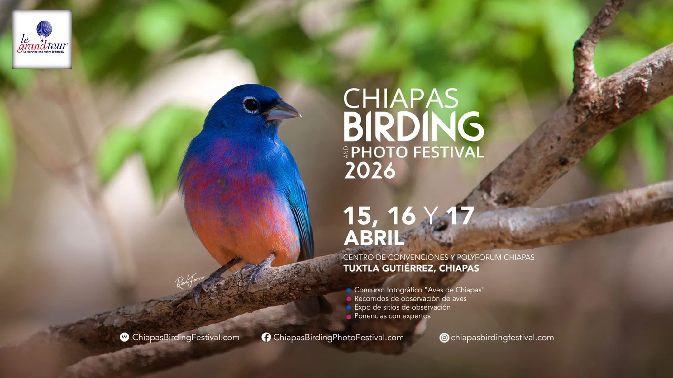 Forma parte de una celebración que une pasión, ciencia y naturaleza en uno de los escenarios más biodiversos de América.
#birding #photofestival #chiapas