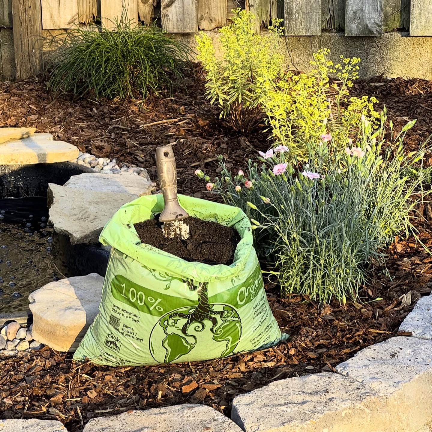 This new pond-integrated raised bed is freshly topped with our Garden Premium Topsoil Blend and pShreds pine bark mulch. It really cleans up the space and makes the plants pop. Happy Spring planting! 🌷
Plant List:
Dianthus Georgia Peach Pie
Ginkgo Mariken
Arborvitae Whipcord
Euphorbia Ascot Rainbow
#spring #gardening #gardensoil #sustainability #earthmixgrows