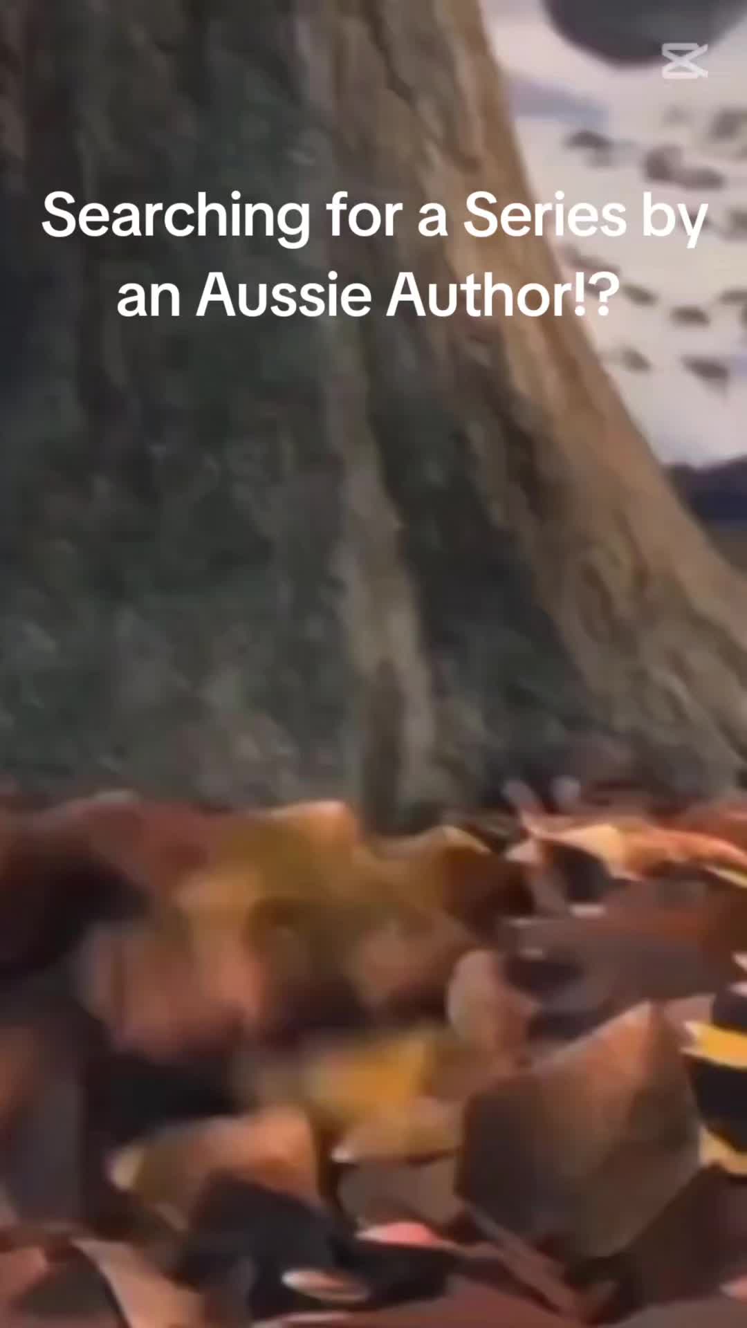 Runes & Romance has the goal of celebrating as many aussie authors as possible!
Find your next series at runesamdromance.store