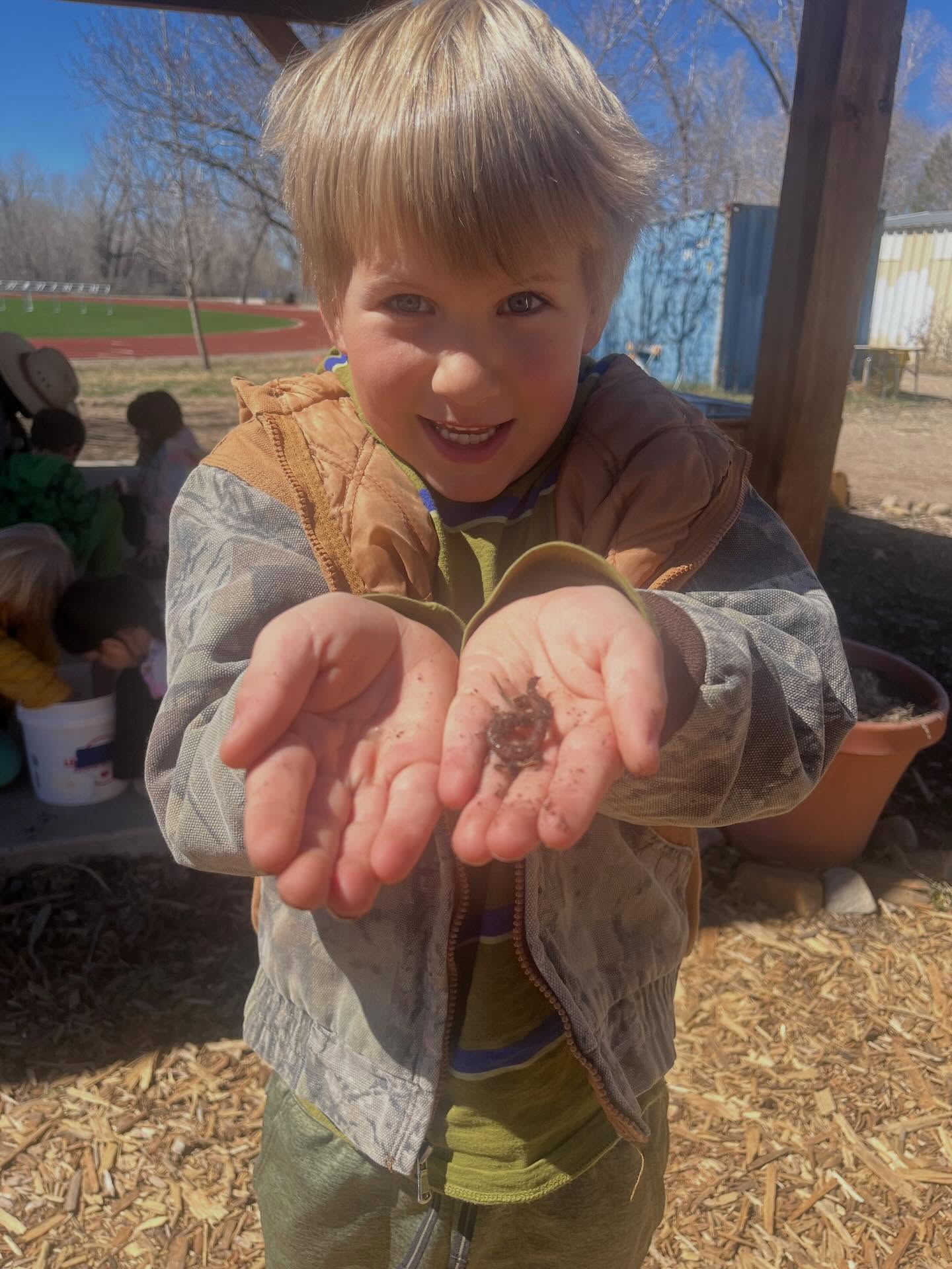 It’s worn 🪱 month!
We learn about worms
We observe worms
We eat like the worm (that was interesting…)
Sometimes we do “the worm” 🐛 dance
Worms make the soil healthy and soil is
THE MOST IMPORTANT PART OF THE GARDEN OR FARM!
#worms #lettuceturnipthebeet #schooltofarm #mstfp #meetmeinmancos