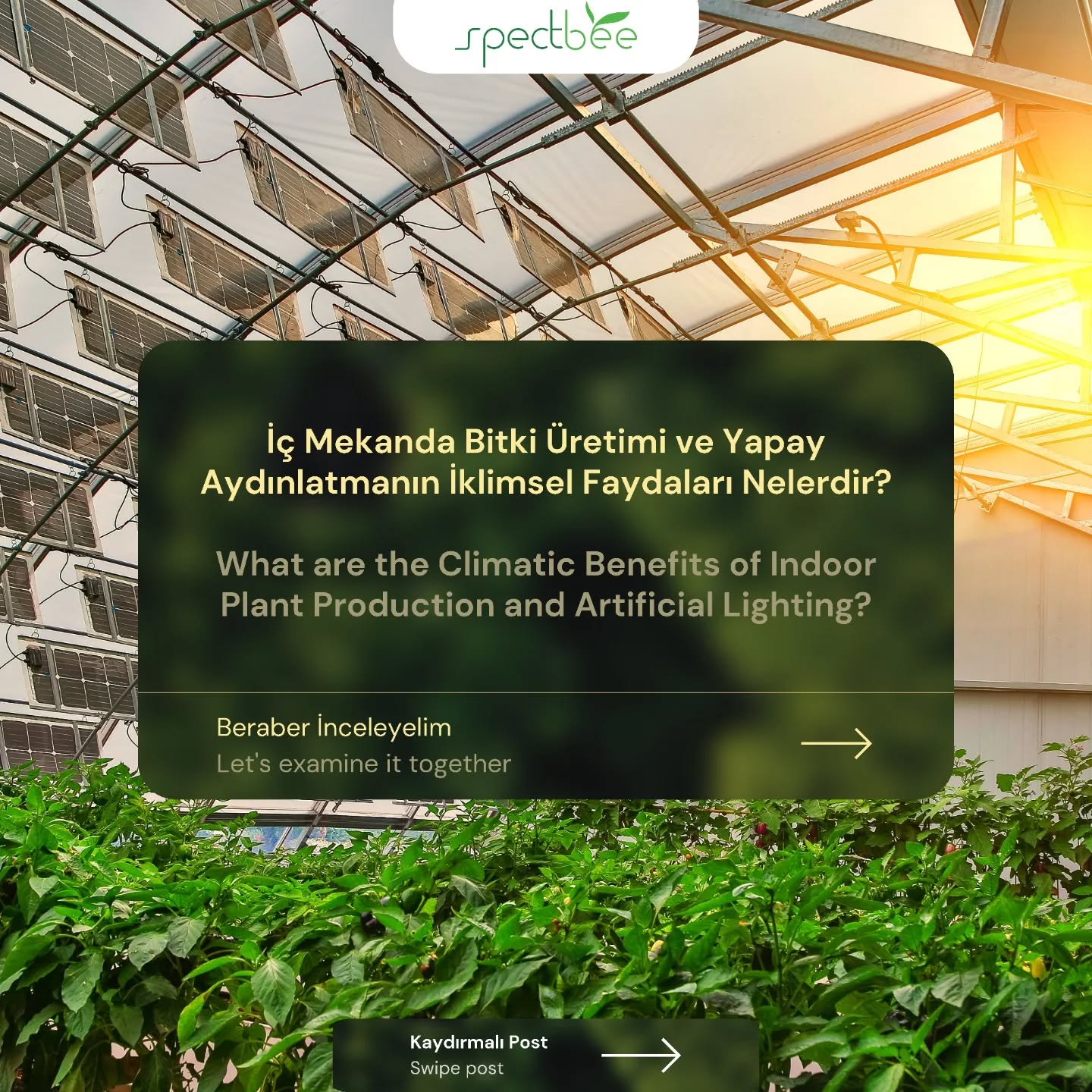 Bilgilendirme Postu / Information Post
I İç Mekanda Bitki Üretimi ve Yapay Aydınlatmanın İklimsel Faydaları Nelerdir? I
I What Are the Climatic Benefits of Indoor Plant Production and Artificial Lighting? I