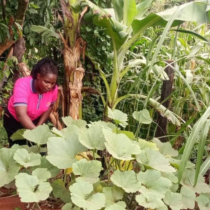 Building resilient communities by improving food systems