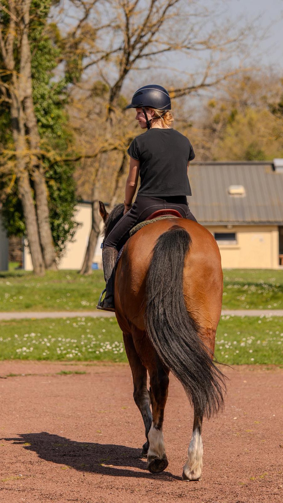Derrière la solennité des fêtes, il y a des heures de travail et de silence. 🏰 Au cœur du @12e_cuirs, notre Jeanne se prépare. Apprivoiser sa monture, maîtriser sa posture. Merci aux militaires pour leur transmission précieuse. 🇫🇷
#Orleans #JeanneDArc #Coulisses #jeannedarc2026