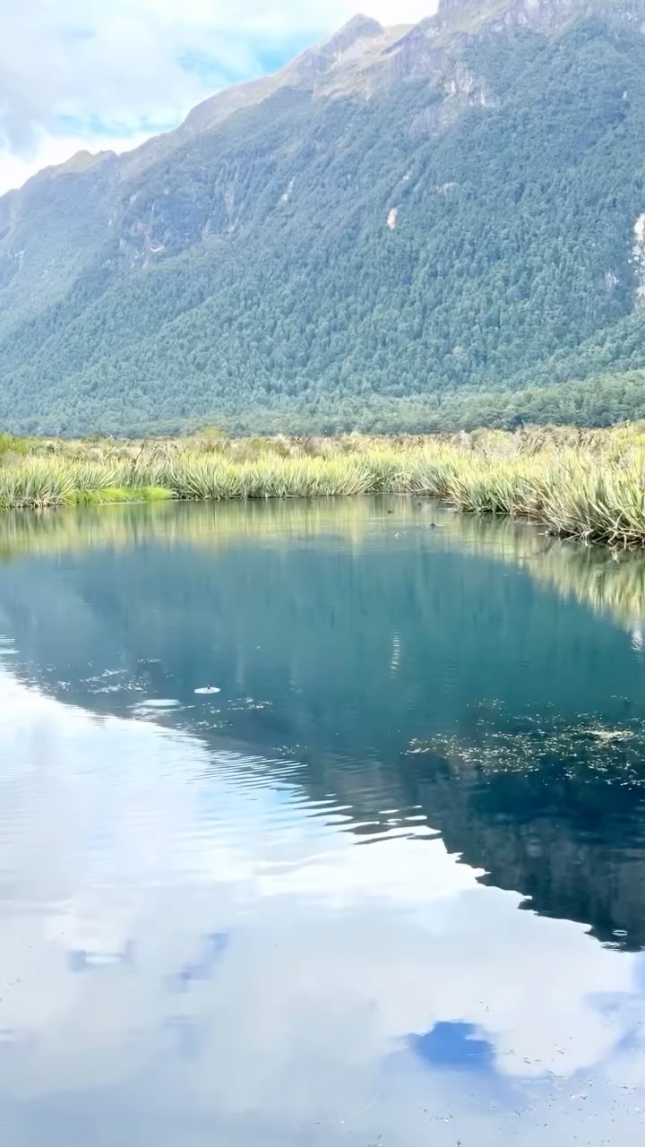 South Island scenes that quietly take your breath away — from mirror lakes to mountain passes, every turn feels like a moment.
New Zealand, you never need filters… just time to take it all in. #newzealand #tourismchristchurch #aatkings #travelcounsellors #independenttravelagent