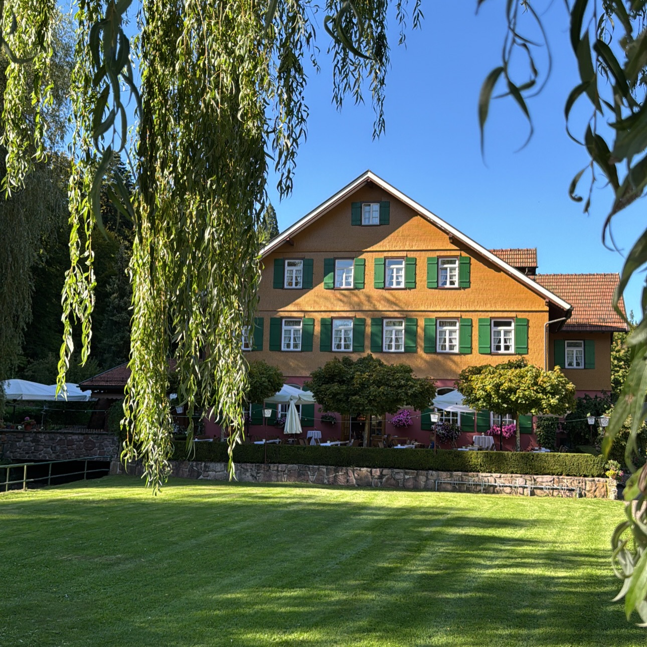 Der Frühling ist da 🌸
Liebe Gäste,
die ersten warmen Sonnenstrahlen tauchen den Schwarzwald in ein ganz besonderes Licht – und wir freuen uns von Herzen, Sie bei uns begrüßen zu dürfen. ☀️
Genießen Sie entspannte Stunden inmitten unserer wunderschönen Natur, lassen Sie die Seele baumeln und sich von uns kulinarisch verwöhnen. 🌿🍽️
#Schwarzwald #Neuenbürg #Frühling #ZurAltenMühle #Genussmomente Auszeit