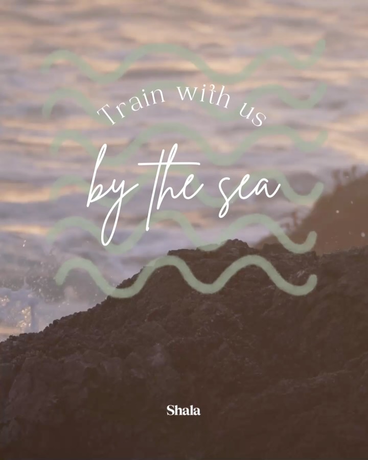 Is the sea calling you? 🌊
An integral part of our Women’s Circle Training is honouring and deepening our connection to nature…
And what better way to do that than by being right next to the ocean…
💫Our Brighton training at @rebalancebrighton begins this weekend - in the heart of Brighton, a stone’s throw from the beach…
💫We then return to Shala’s home of vibrant Margate at @margate_yoga_studio for our next training in April…
These trainings are a hybrid of in person & online sessions…
Held by Anna Brook
& guest facilitators @joannamiller_healing & @astro_dejavu
If you’re feeling the call to join us…
shalawomen.co.uk/womens-circle-training
-
#yogateachertraining #yogateachertrainingsuk #yogateachertrainingcourse #womenscircletraining #womenscircles #womenscirclesuk #womenscirclefacilitator #womenscircle #margatenow #margatelife #margateyoga #womensupportingwomen #womenshealthmatters #healingpractice #selfcarematters #womenswellness #shalamargate #shalaevents #yogagardenretreat #womensconnection #holdingspace #holdingspaceforyou #womengathering #shalatraining #brightonbeach #brightonyoga #margatebeach #connectingtonature