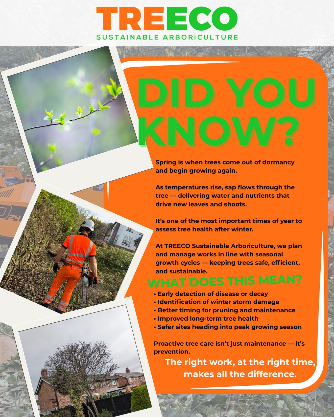 🌿 DID YOU KNOW?
Spring is one of the most important times for tree health.
After months of winter stress, trees begin growing again — making it the perfect time to spot issues early and plan the right maintenance.
At TREECO, we don’t just react — we work with the seasons to keep trees safe, healthy, and sustainable.
The right work, at the right time, makes all the difference.
📍 Need a site assessment this spring? Get in touch.
#TREECO #Arboriculture #TreeCare #SpringMaintenance