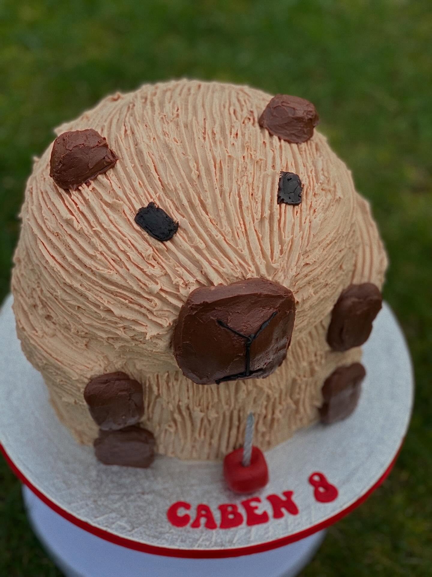 The most adorable Capybara cake for a huge Capybara fan #capybaracake #birthdaycake #celebrationcake #happybirthday #capybara