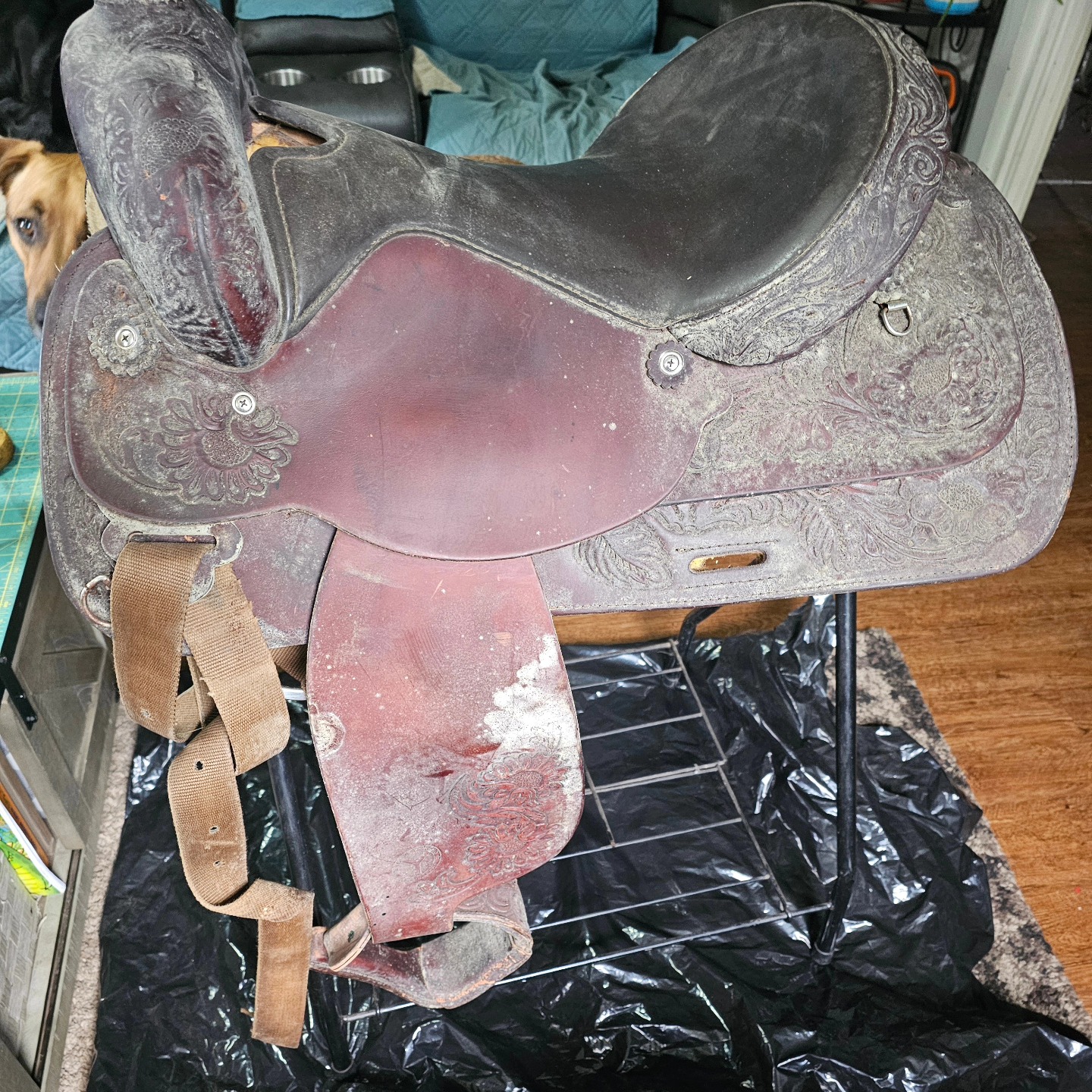Another one done. Just needed a good cleaning..got to love estate sale finds! #customleathersplus #saddlerestoration