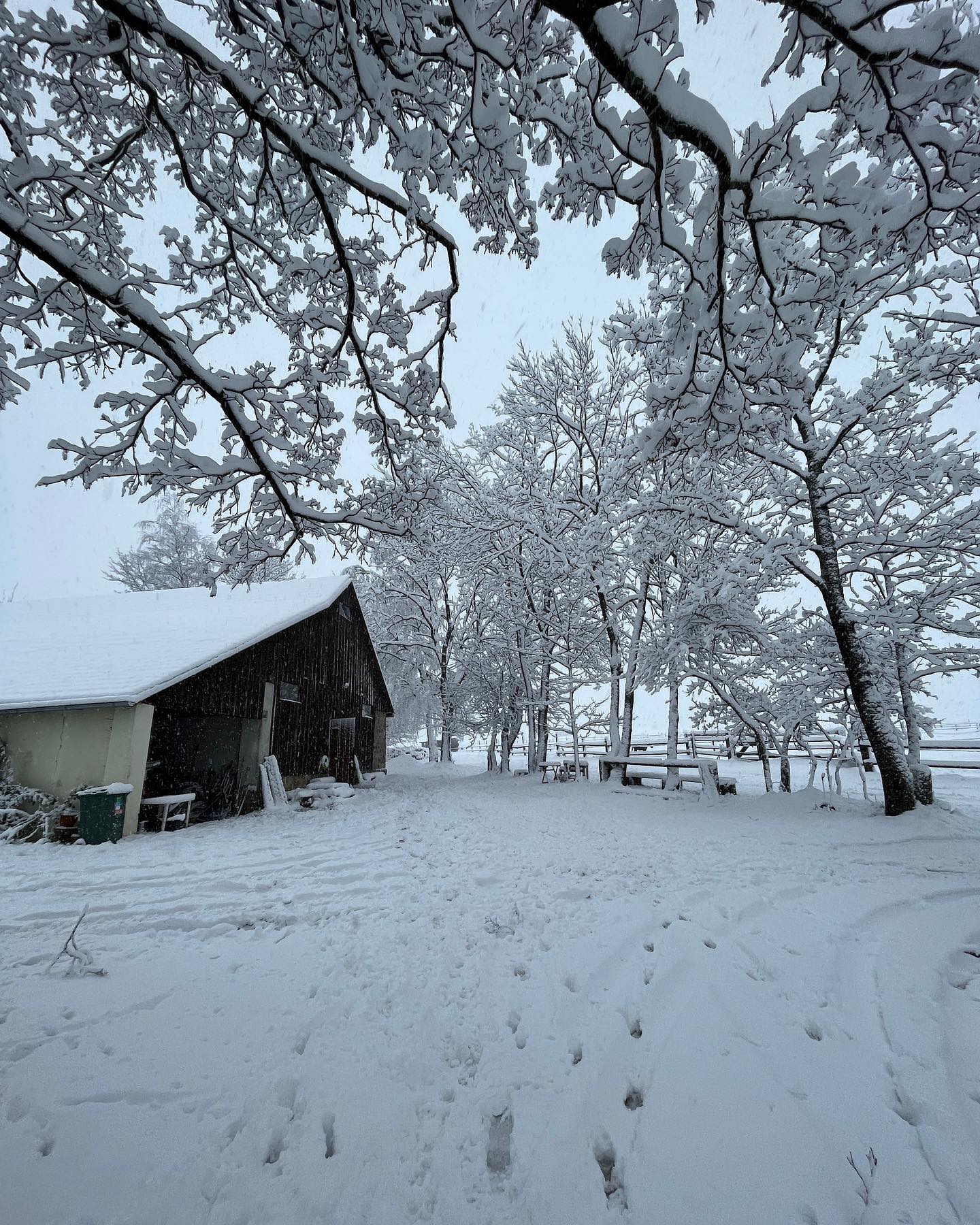 Zimazimoucí 🥶 #nabelidle43 #ondastatek #zima #snih #krasavesmirna