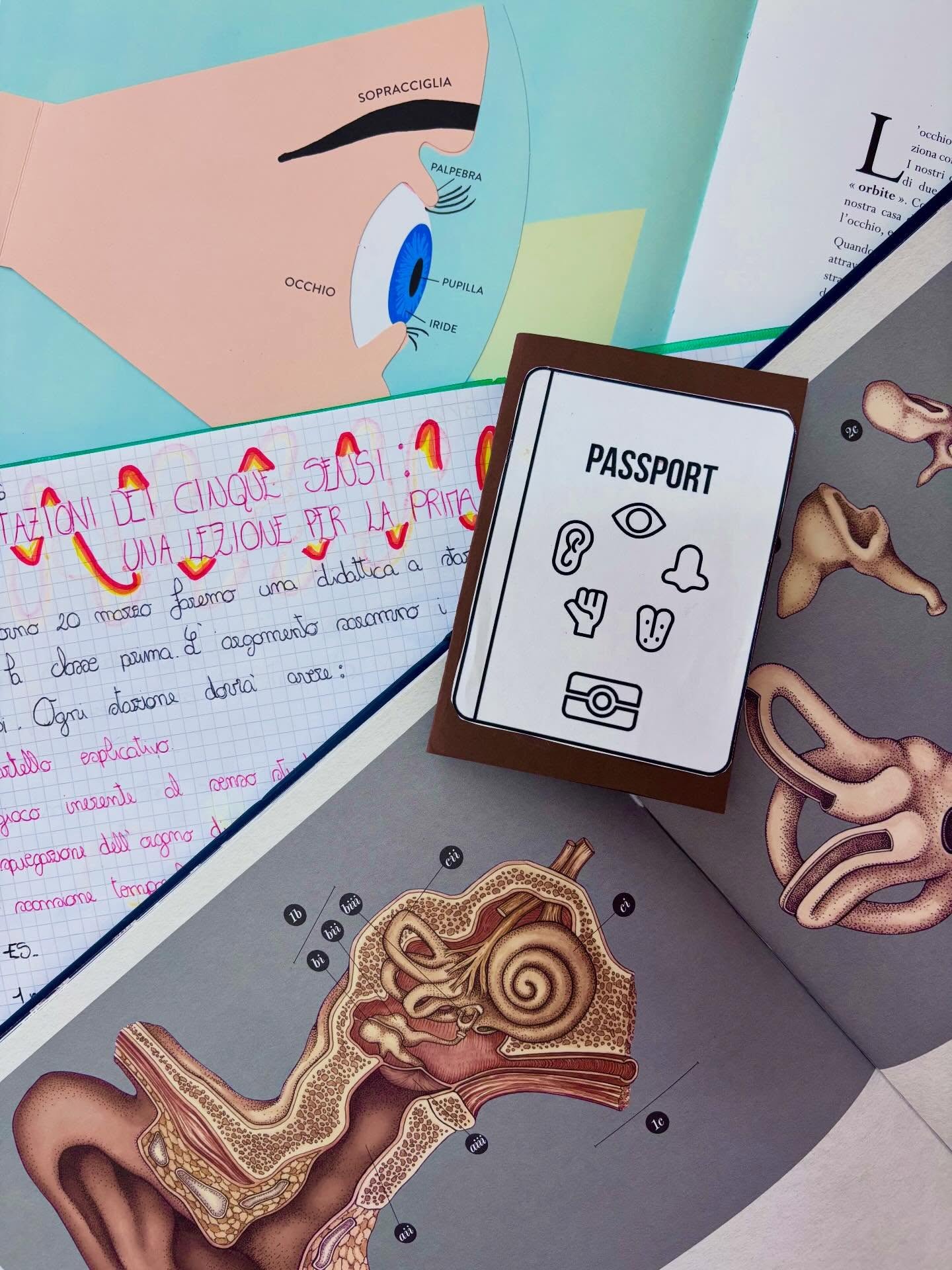 👩🔬NON-FICTION: albi illustrati per insegnanti di scienze e non solo! 👨🌾
𝒞𝑜𝓃𝓉𝒾𝓃𝓊𝒾𝓉à
Classi quinta e prima
Bagnoli di Sopra
✨La classe quinta, in accordo con le insegnanti della classe prima, ha progettato e realizzato cinque stazioni, una per ciascun senso, curando ogni dettaglio con attenzione. Ciascun gruppo ha accompagnato i più piccoli in un percorso di scoperta, utilizzando linguaggi diversi e cercando modalità coinvolgenti.
A ogni stazione:
👁️ un cartellone scientifico per presentare il senso in modo chiaro e accessibile
👄una breve presentazione per guidare la spiegazione
👂un gioco o un’attività laboratoriale per comprendere attraverso l’esperienza il senso appena esaminato
🚂Un percorso in cui le alunne e gli alunni di quinta si sono messi in gioco come guide attente e responsabili, mentre i bambini e le bambine di prima hanno potuto apprendere in modo concreto, curioso e coinvolgente.
✨Un’esperienza che unisce didattica attiva, relazione e senso di comunità.
👁️Anatomicum di Jennifer Paxton, Katharina
Wiedemann per @rizzolilibri
🫁Anatomia di @helenedruvert per
@ippocampoedizioni
#continuità #didatticaattiva #scuolaprimaria #impararefacendo #cooperativelearning