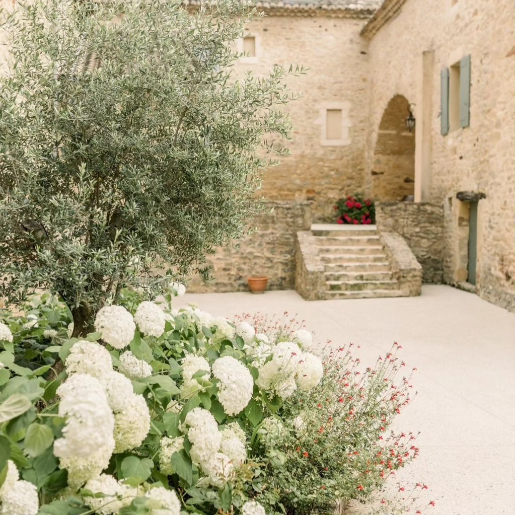 La cour du Domaine de Valbonne regorge de coins fleuris mettant en valeur ce si beau hameau du XVIe siècle. Une poésie romantique qui nous enchante chaque jour ❤️
The courtyard of Domaine de Valbonne is full of flowery corners that enhance the beauty of this 16th-century hamlet. A romantic poetry that delights us every day ❤️
Photographe @audreycarnoy.photo_wedding
#hameau #hamlet #provencewedding #provence #southoffrance #olivier #lavande #lavender #hortensias #fleursmariage #weddingphotographer #weddinginspiration #domainedevalbonne #weddingvenue #weddingflowers #saintpauletdecaisson #occitanie #gard