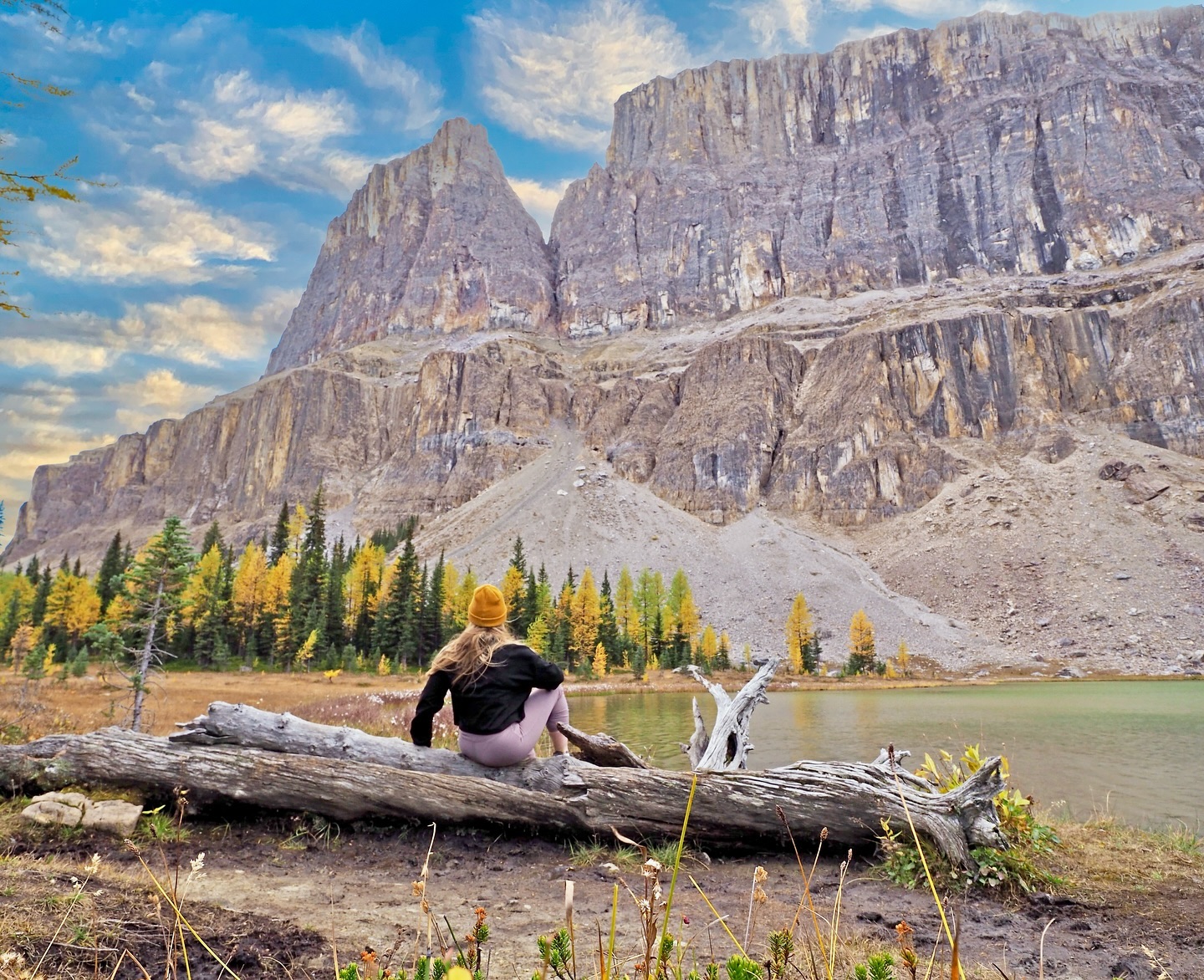 Canadian Rockies in Autumn 🍂🤍
It’s a truly magical place
#rockies #autumn #canadianrockies #pnwlife #banffnationalpark #parkscanada #sunrisephotography #greatnorthcollective #optoutside #exploremore #mtnchicks #findyouradventure #happiestoutside #adventurelikeyougiveadamn #amongthewild #inspireadventure #adventureenthusiast #likeamountaingirl #globalcollective #besttravelphoto #thatPNWlife #thehikingway #hikingbangers #hikingtheglobe