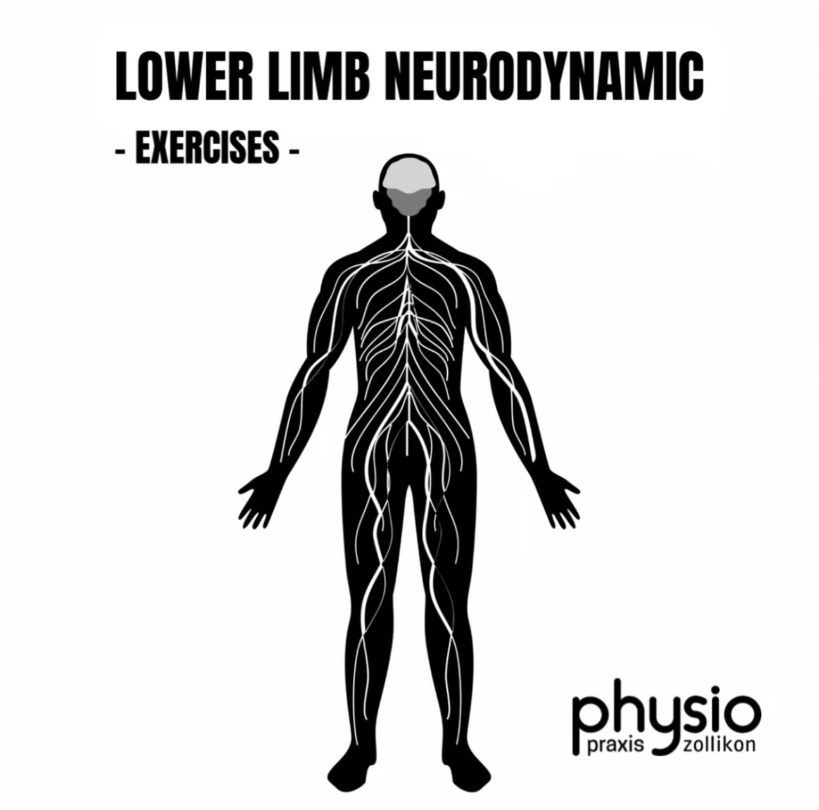 Bei nerval bedingten Beschwerden in den Beinen sind häufig die Nerven mechanisch in ihrer Gleitfähigkeit eingeschränkt, wie z.B. bei Bandscheibenvorfälle, Ischialgie, etc. 🧠🧐
Durch Gleitmobilisation und Dehnungen des betroffenen Nervs kann die Mobilität des Nervs verbessert, sowie eine Schmerzlinderung und Funktionsverbesserung der Beine erzielt werden.
Hier seht ihr ein stufenweiser Übungsaufbau zur Verbesserung der Neurodynamik der unteren Extremität:
⚠️Diese Übung sollte erst im späteren Verlauf bei nur noch geringer Symptomatik mit Rücksprache des Therapeuten durchgeführt werden⚠️
Wir empfehlen bei den Übungen 2-3 Sätze täglich durchzuführen.
Haftungsausschluss: Die Inhalte werden mit großer Sorgfalt ausgearbeitet, ersetzen jedoch keine individuelle fachliche Untersuchung und Behandlung durch einen Arzt oder Physiotherapeuten.
⚠️💪🏽 Möchtest du einen individuelleren Reha- oder
Trainingsplan um deine Ziele zu erreichen, vereinbare gerne einen Termin in unserer Praxis. Denn Link dazu findest du oben in der Bio auf unserem Profil.
#rehab #exercises #training #neurodynamic #mobility #mobilisation #lowbackpain #nervenmobilisation #physiopraxiszollikon #health #physiotherapie #physio #physiotherapy #gesundheit #sport #training #fitness #therapie #physiotherapeut #physiolife #bewegung #moveyourbody #zollikon #zürich