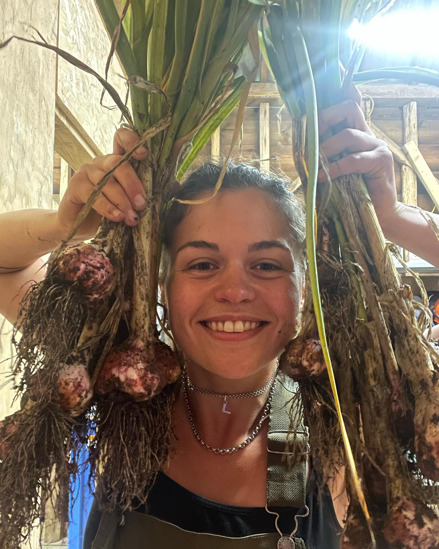 Very proud of my garlic harvest!
.
.
.
.
.
#gardener #gardenersofinstagram #vegetablegarden #londongardener #organicgardening #fruitandveg #garden #gardening