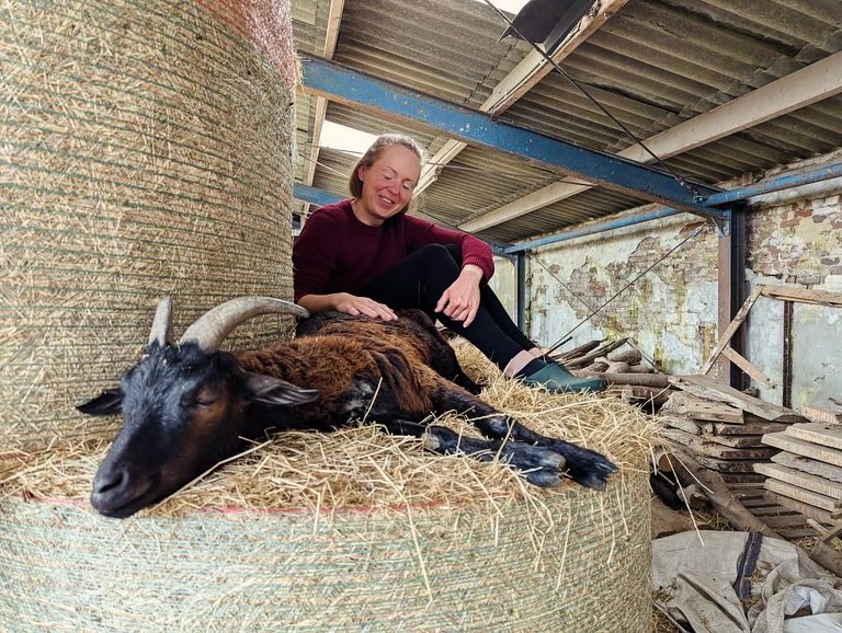 James, het leukste wezen van Huize Blokland, net een hond, maar dan zonder geblaf en gespring. Allemaal leuke mensen, klein en groot, bij een vuur. Zuurdesembrood aan een stok. Uitrusten op de fijnste schoot, met de zonsondergang achter je. Samen met je broertje in het vuur staren. Poëzie op een oude deur, kinderogen vinden alles interessant. De eerste zomerperen, zoetzuur, nog net niet rijp, maar anders worden ze al weer melig. Rond crossen op oude skelters en fietsjes, tot je benen moe zijn. Dit allemaal is Huize Blokland, en elke dag maken deze kleine dingen onze dag. Wat is jouw mooiste (kleine of grote) herinnering hier?
#buitenleven #recreatieboerderij #kidsproof #natuurhuisje #natuurcamping #minicamping #microcamping #natuurkampeerterrein #natuurboerderij