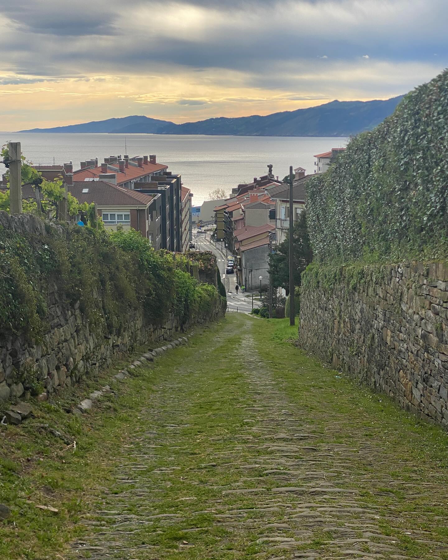 Day 3 Getaria to Deba. “The real voyage of discovery consists not in seeking new landscapes, but in having new eyes.”
~ Marcel Proust