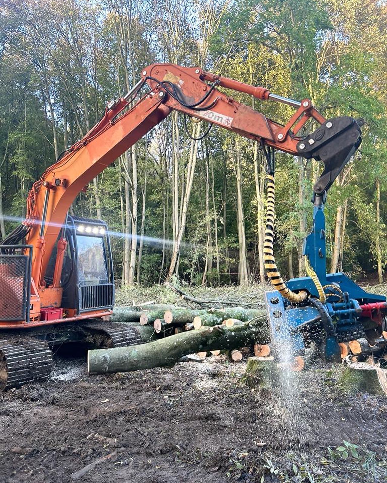 Contracted in to harvest several hundred tons of ash for Paul Empson Tree Care using our extremely versatile HarvaDig. Great tool for the job!!
Info@wallacetimber.co.uk
01428641739
077775834129
www.wallacetimber.co.uk
Instagram - wallacetimberservices
#ashdieback #harvadig #harvesting #forestryequipment #forestryworks #mechanisedarb #grapplesawtruckcompany #grapplesaw #keto150 #efficentwork #compliance #wallacetimberservices #contracthire #uk