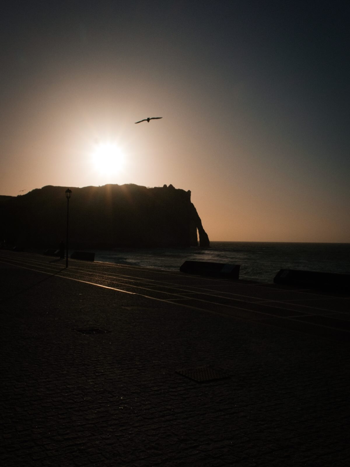 Le printemps est de retour ! Profitons de ces couleurs !
#printemps #laoujevais #photographe #paysage #voyage