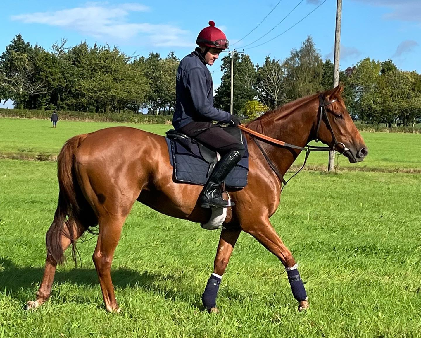 3yo’s turn today whilst the older ones work 💪 @d_noonan95 @benposte89 @bexybee89 #nationalhuntracing #teamsymonds #thoroughbredsofinstagram #tomsymondsracing #herefordshire #redmillshorsefeeds #gundoggin