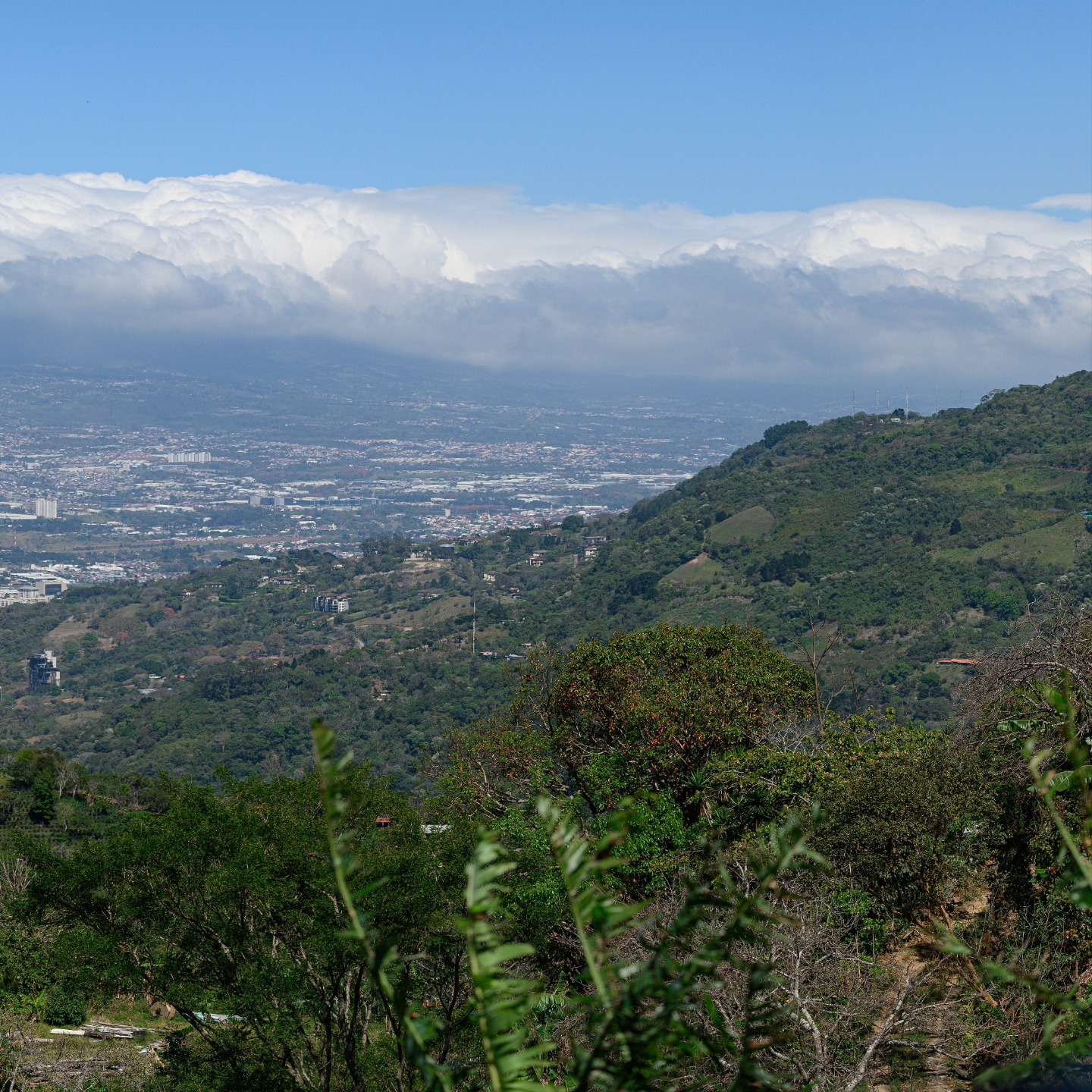 La vista panorámica desde @eolicos_camping . La imagen original es de 28.400 x 5.700 px.
#landscapephotography #landscapepanorama #panoramic #panoramicview #panoramica #nikon #nikonshooter #camping #ovelanding #costaricaoffroad #costarica #outdoor