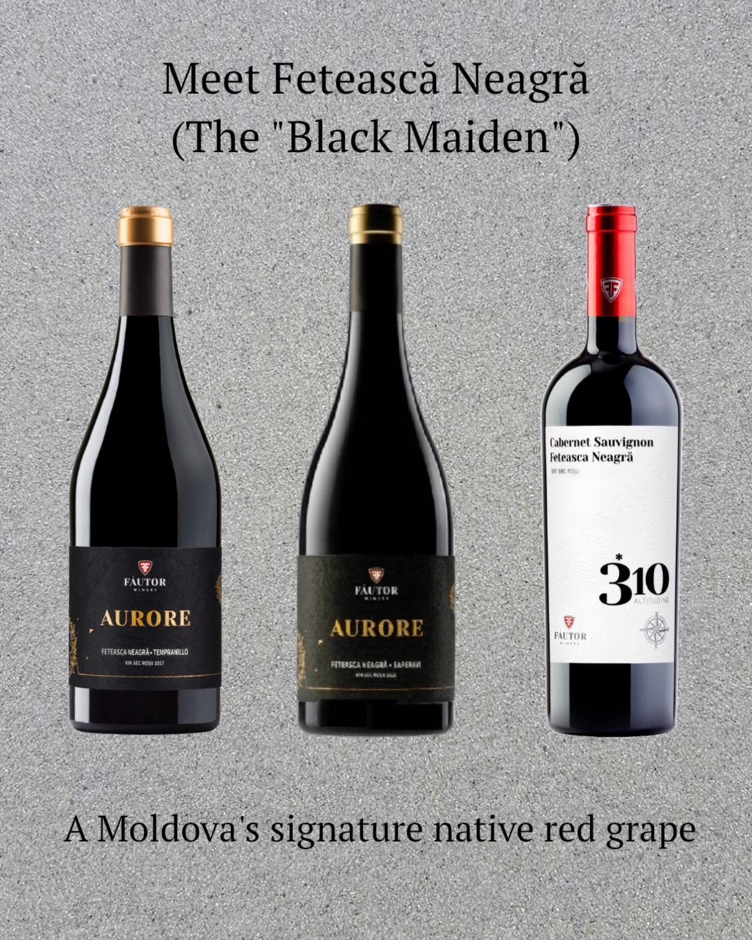 Meet Fetească Neagră.
Known as the “Black Maiden,” this native grape is a star on its own - but watch what happens when Fautor’s winemakers blend it. Whether paired with the silky energy of Spanish Tempranillo, the dark spice of Saperavi, or the classic structure of Cabernet Sauvignon, it completely transforms.
Swipe to see how this one grape creates totally unique personalities. 👉
Which blend are you uncorking this weekend?
.
.
.
#MoldovanWine #WineMalaysia #MalaysianWineLovers #KLLifestyle #WineTime