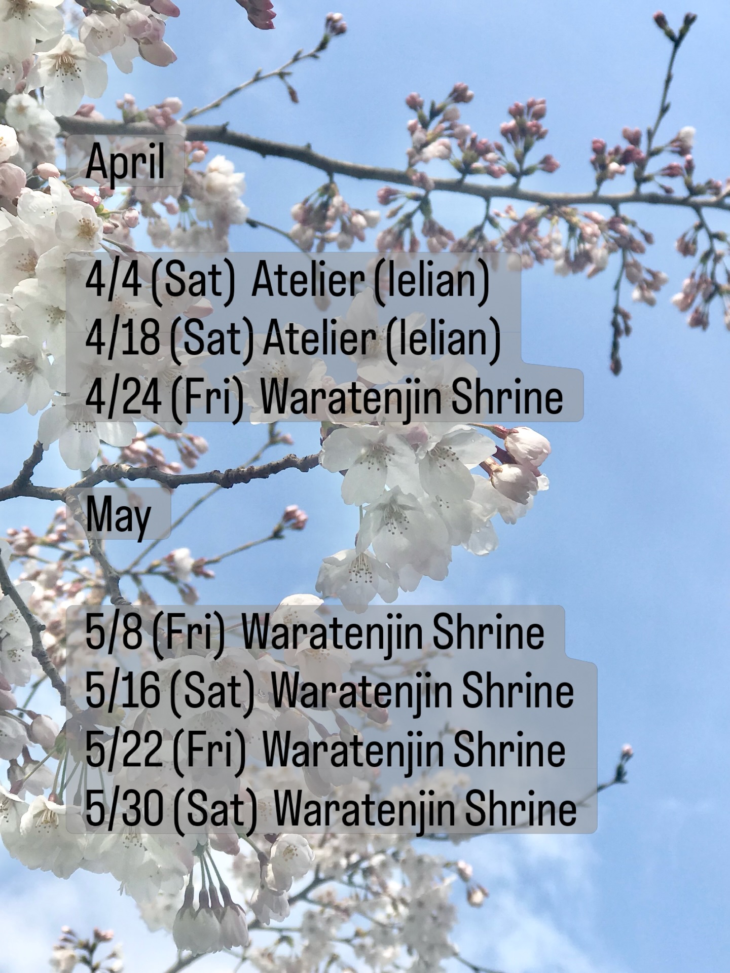 April & May schedule.
In addition to the regular classes at the shrine,
atelier sessions at lelian will be held in April.
Small, quiet classes
to spend time with flowers.
Feel free to message me
if any date works for you. 🌿
4月・5月のクラス日程です。
神社でのお稽古に加えて、
4月はアトリエ(るりあん)での回も予定しています。
どの回も少人数で、
花と向き合う時間を大切にしています。
ご都合の合う日があれば、
お気軽にご連絡ください。
クラスの詳細はプロフィールの固定投稿にまとめています。
ご予約・ご質問はDMで承っています。🌿
#ikebana
#ikebanaclassinenglish
#いけばな教室京都
#日本の方も大歓迎
#japanesetraditionalart
