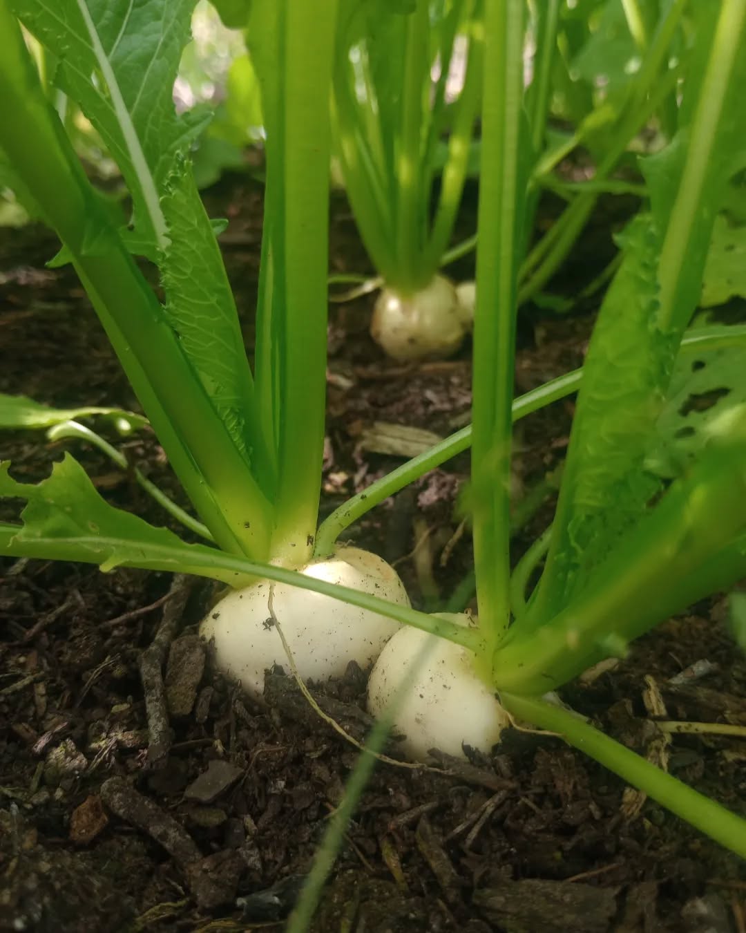 Impressionen, Oktober