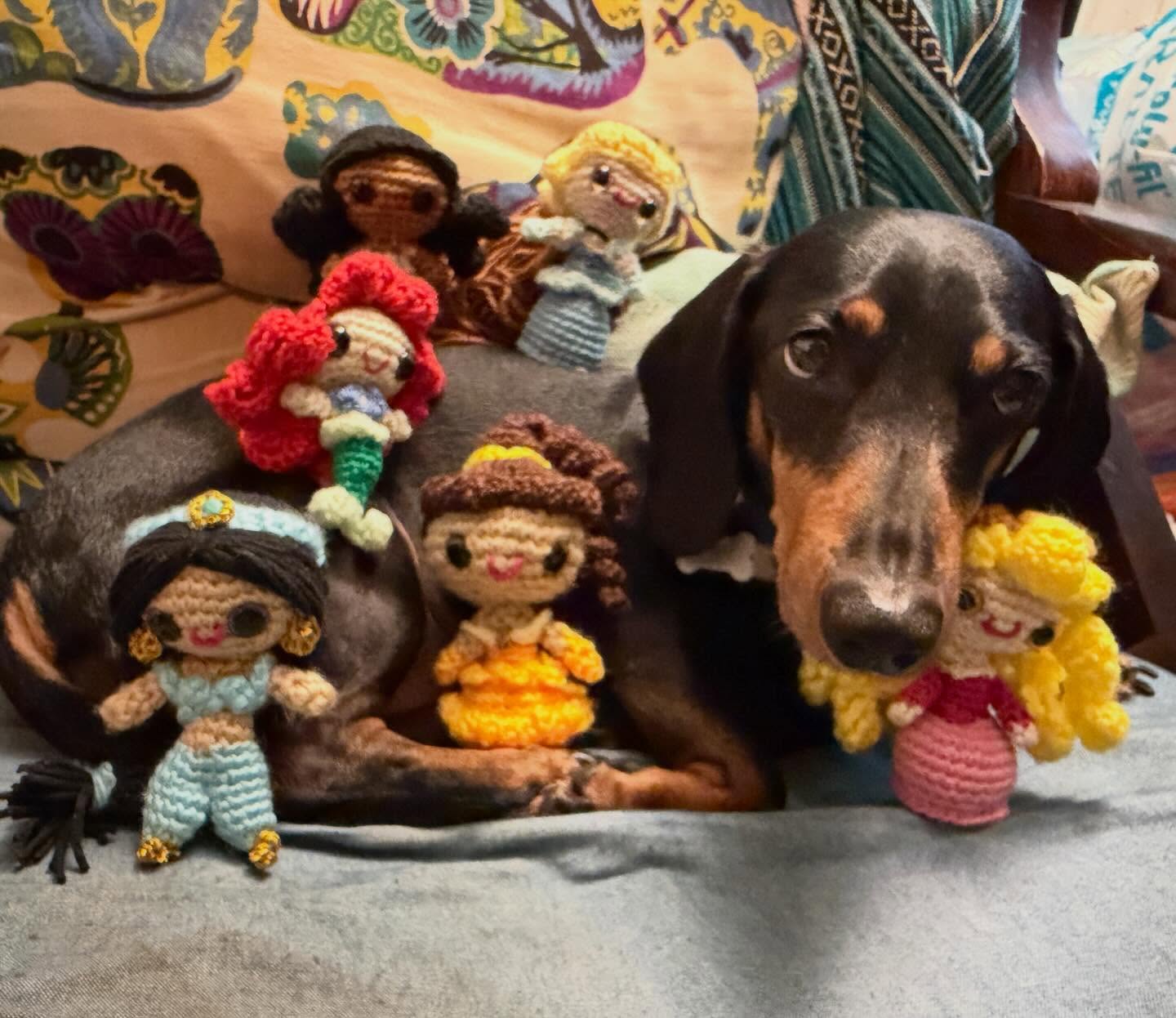 And just like that I finally crocheted 🧶 all the princesses 👸🏽 Thank you 🙏🏽 to @elwoodbluesdachy for being so patient with the process 🤗 #springbreak #crochetallday