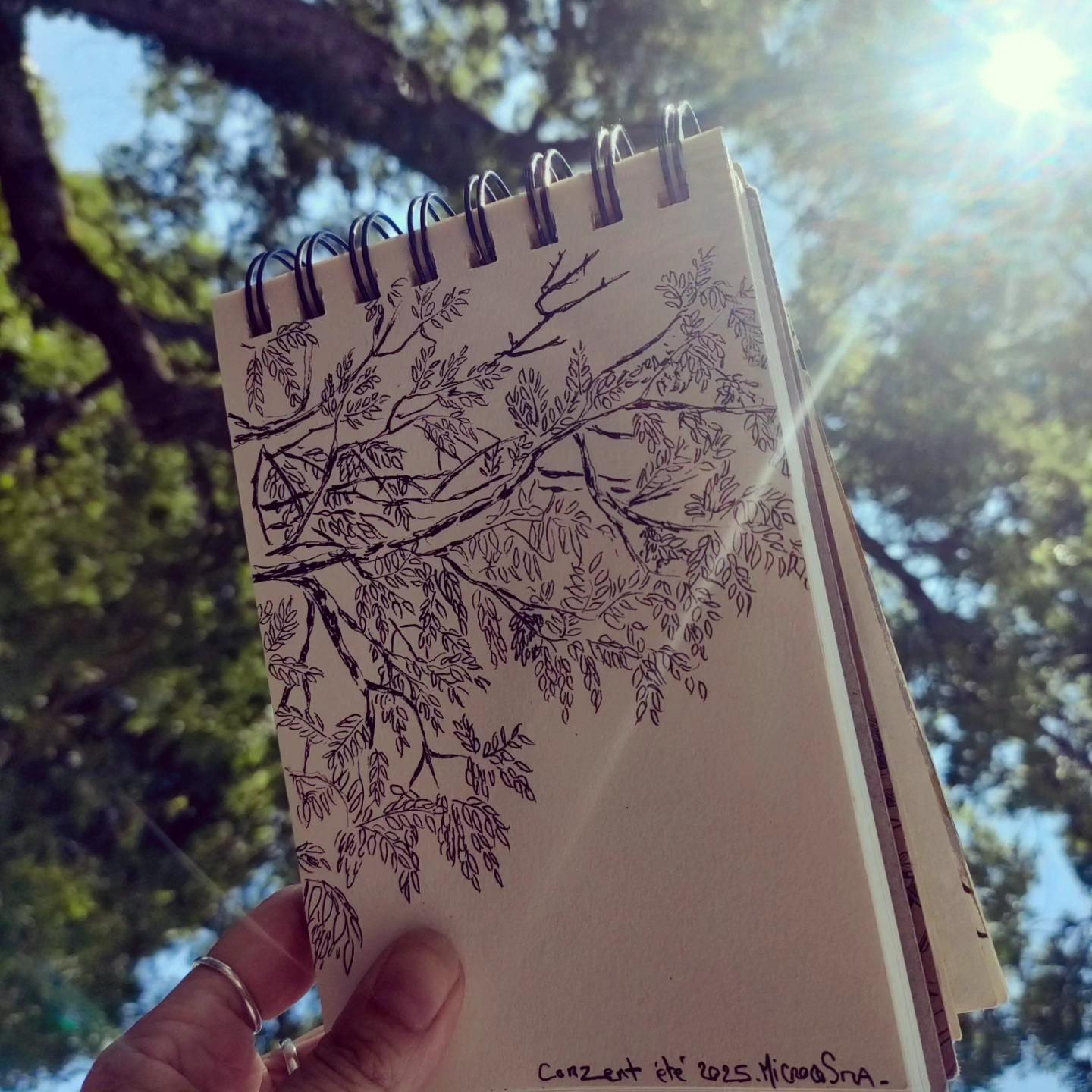 Observer, contempler.
Jouer avec la réalité....
Dessiner.
Inspirée par mon travail de médiation autour de l'exposition de l'artiste Gérard Traquandi, je nourris aussi mes recherches personnelles pour avancer dans ma quête créative infinie....
La boucle est bouclée.
#artlife #passionart #drawer #dessin #ʟᴏᴠᴇɴᴀᴛᴜʀᴇ #instantpresent #contemplation