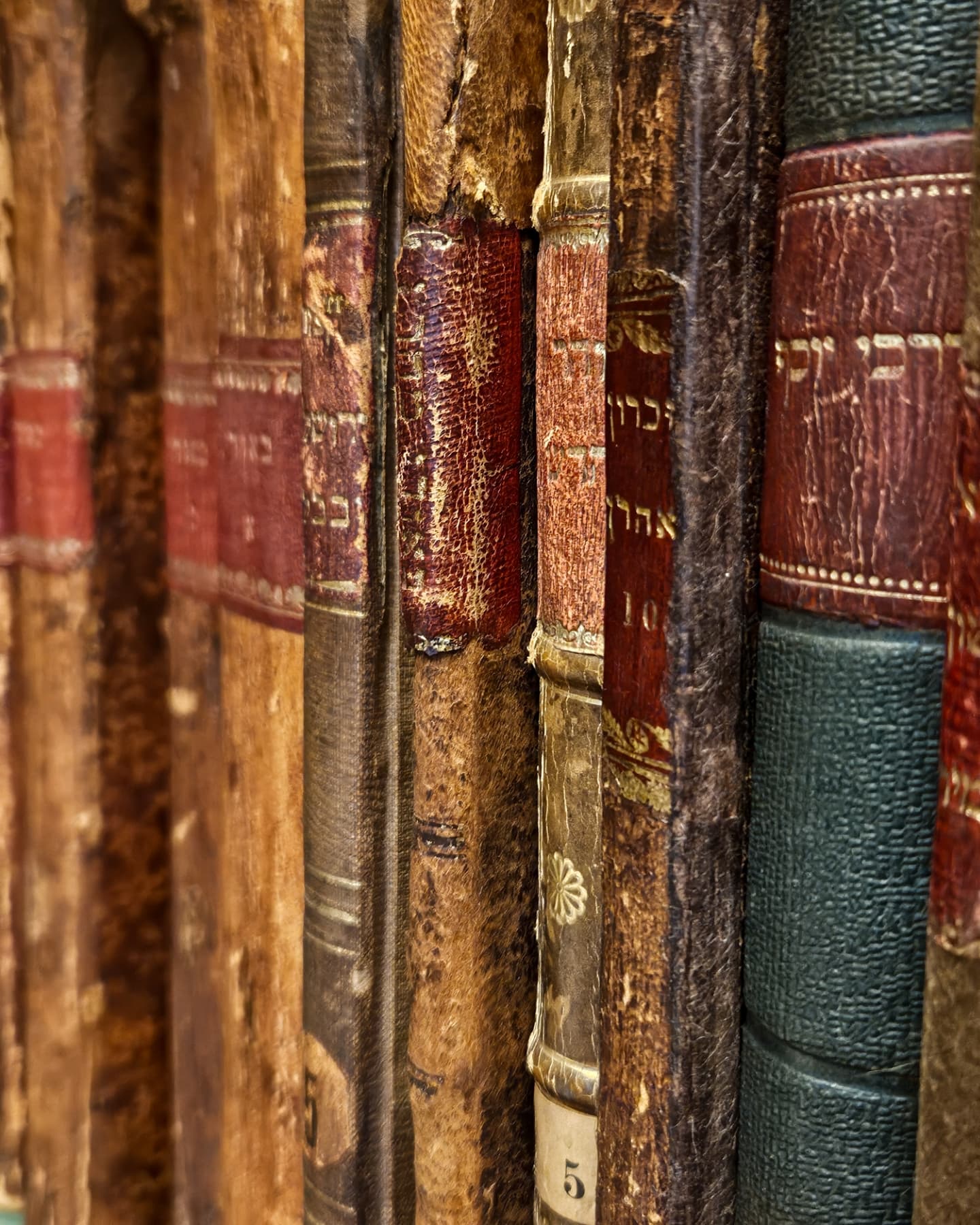 Ets Haim is de oudst, nog functionerende Joodse bibliotheek ter wereld. Op 8 januari mocht ik weer even binnenkijken! 📜📚
Foto 1 en 2: Ik zou haast historicus worden, puur omdat ik dan meer reden heb om hier onderzoek te doen. Helaas heb ik voor mijn onderzoeken nooit echt de collectie van de Ets Haim nodig.
Foto 3: Op een oude Ketoeba (Joodse huwelijksakte) zag ik Jakob Rachel kussen.
Foto 4 en 5: Een koperets! Het koperen plaatje werd gebruikt voor de titelpagina van het Bijbeltje in foto 5.
Foto 6: een tekening van de tempel, zo dachten ze dat deze eruit zag. De grote synagoge in Amsterdam moest zo veel mogelijk hierop lijken.
Foto 7: een groot manuscript van perkament. Hierbij kun je goed zien dat perkament een gelige kant (de harige kant van de dierenhuid) heeft en een wittere kant (de vleeskant van de huid).
Foto 8: Een oud manuscript uit de 13e eeuw. In de 16e eeuw is het gecensureerd uit angst dat het anders misschien verbrand zou moeten worden. Er zijn zinnen weggehaald uit een stukje waar Maimonides uitlegt hoe Jezus volgens hem, niet de Messias kon zijn geweest.
Foto 9 en 10: een archief op alef-betische volgorde en meer mooie volle kasten.