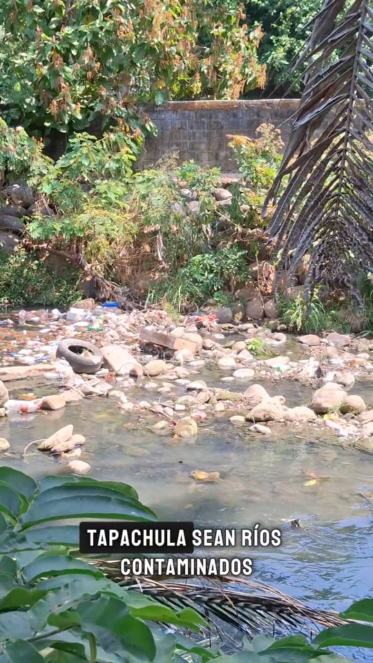 Hoy es día mundial del agua....
#tapachulachiapas #educacionambiental #texcuyuapan #rios #contaminación