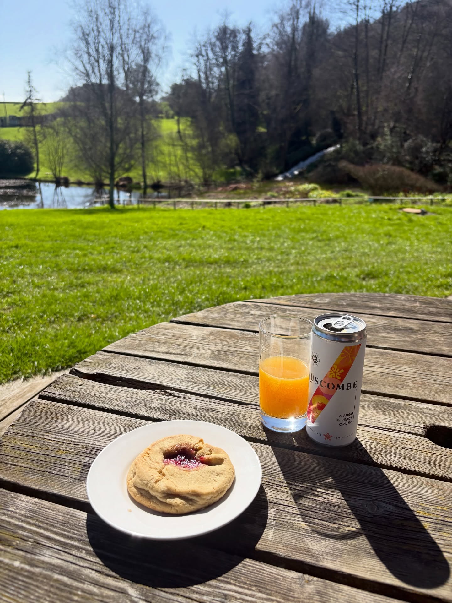 We’ve recently started supplying our gourmet, palm-oil free bakes to @canonteignfalls, which feels like the perfect place for a cookie break!
The walks there are beautiful, the views are incredible, and now you can grab one of our delicious bakes while you’re out.
If you run a café, shop, or venue and want to stock or serve our cookies, drop us a message or find out more about registering as a stockist at www.willow-finch.co.uk/trade