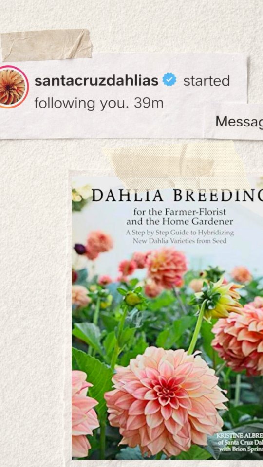 Did not have this on my 2026 bingo card 🌿
But here we are. 🤯