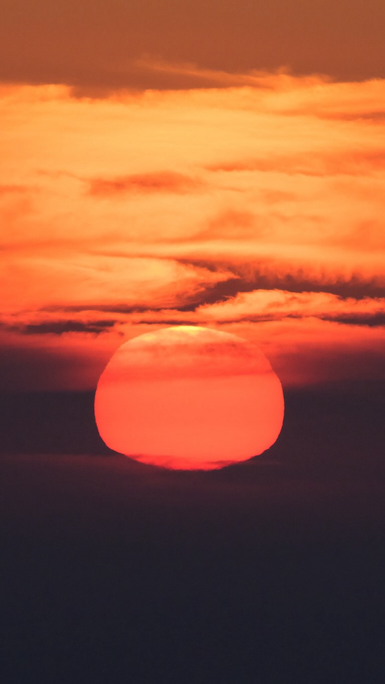 SAFARIS FOTOGRÁFICOS PARA MUJERES! 🦋
En los safaris fotográficos para mujeres nos sumergimos en plena naturaleza, afinando la mirada y practicando en el terreno.
Junto a guías expertos, biólogos y rastreadores nos adentraremos en lugares donde la fauna se muestra en todo su esplendor.
Guiándote en cada toma, verás cómo tus fotografías cobran una nueva fuerza. Tus imágenes mejorarán mucho más rápido en los Safaris que estudiando únicamente la teoría.
También descubrirás cómo transformar tu pasión en algo más grande. Compartiré contigo lo que he aprendido sobre la fotografía como profesión, cómo construir un portafolio con intención, aprenderás a darle valor a tu trabajo y explorar caminos para vivir de lo que amas.
Te beneficiarás adquiriendo mayores conocimientos fotográficos, mayores conocimiento acerca del comportamiento de la fauna, aprenderás a utilizar la fotografía como herramienta para generar ingresos, formarás fuertes vínculos con otras mujeres y tendrás una vivencia de vida que recordarás con mucho amor siempre.
Cada Safari es una experiencia transformadora para conectar con la vida silvestre y crecer fotográficamente.
-05-09/09/2026 Torres del Paine, Chile 𓃮✮
🔥ÚLTIMOS CUPOS!🔥
-05-15/11/2026 Península Antártica , Antártida 🔥ÚLTIMO CUPO!🔥
-27-30/01/2027 Sierra Nevada, Colombia 𓂃 ོ𓂃
Comenta safari y te envío más información ㅤ♡
#lacamaraexplora #safarifotográfico
#safarisfotograficos #safarifotografico