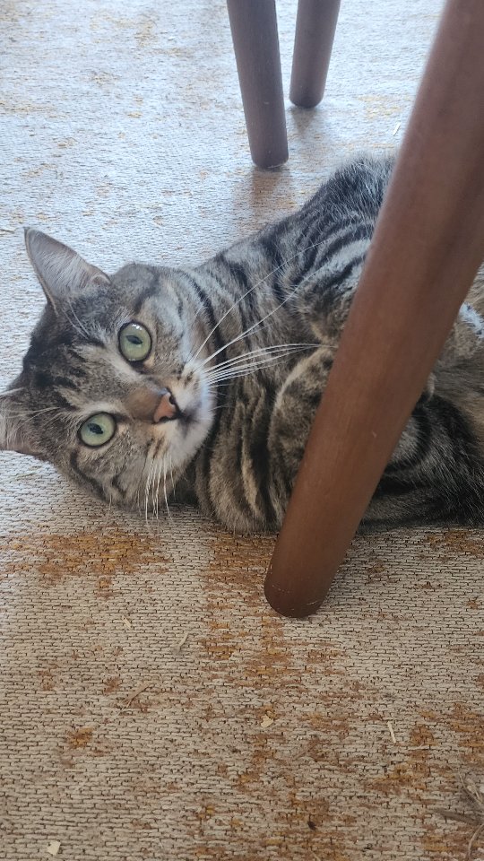 H-4 avant le lancement de la Braderie !
On se retrouve à 16h00 !!!!
Ce réel s'autodetruira bientot