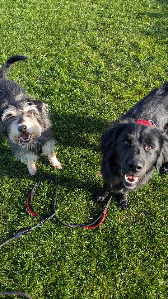 Slippery hard floors?
Easy to clean, but hard on muscles/joints and more likely to slip And cause injury...
So we fix it.