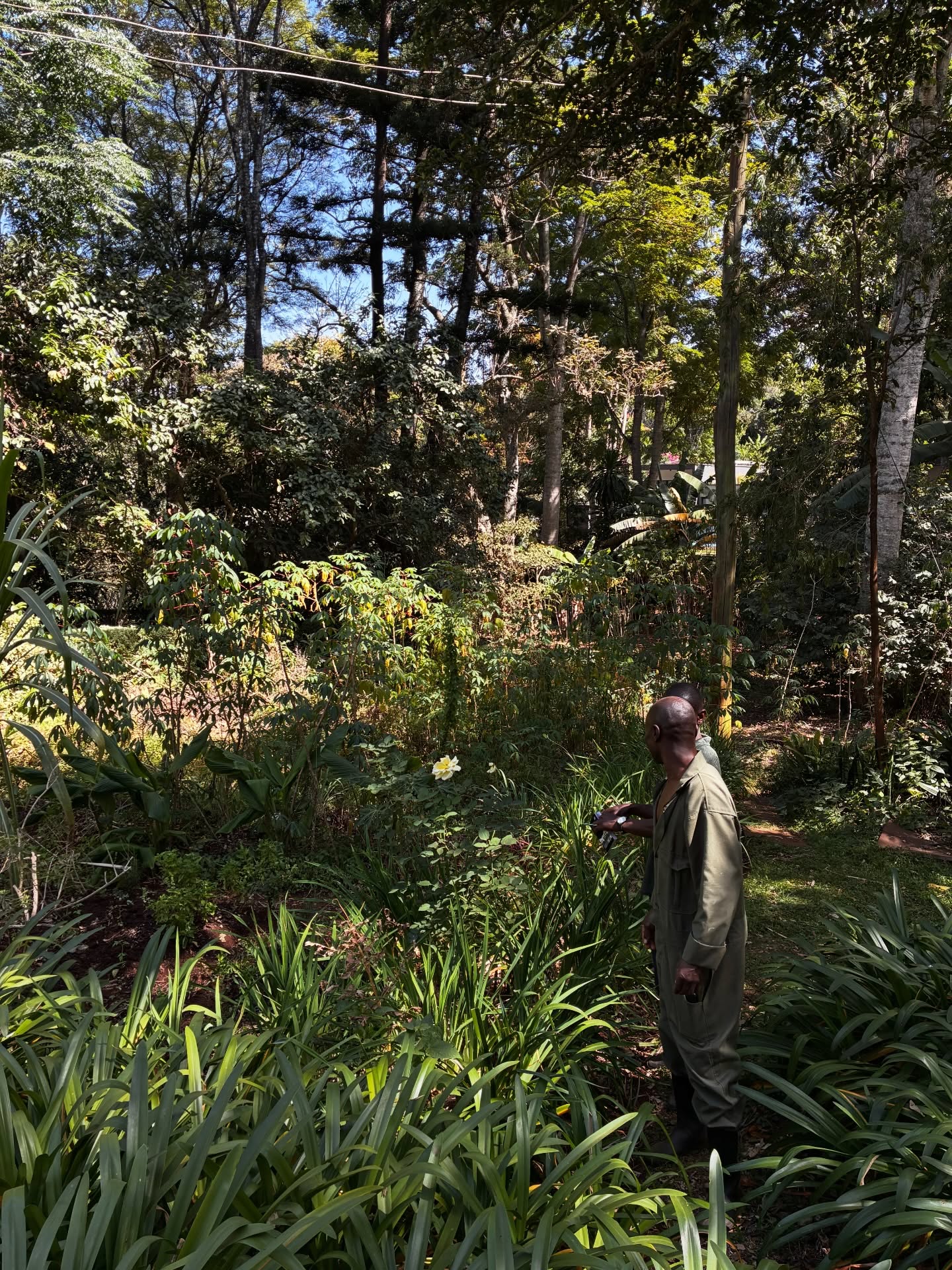 Preparing to be back here later this week for a training with an enthusiastic group from Wajukuu, Mukuru, re-designing an urban shamba and thinking more deeply about systems that truly work long term. They’ll carry this knowledge forward to their peers 🐝